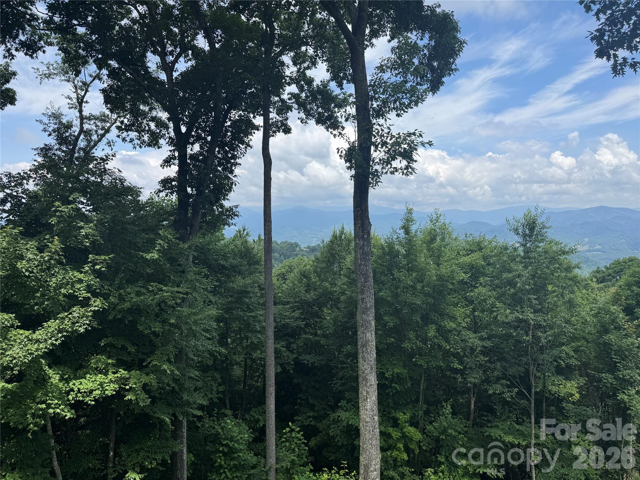 337 Rhododendron Lane — Burnsville