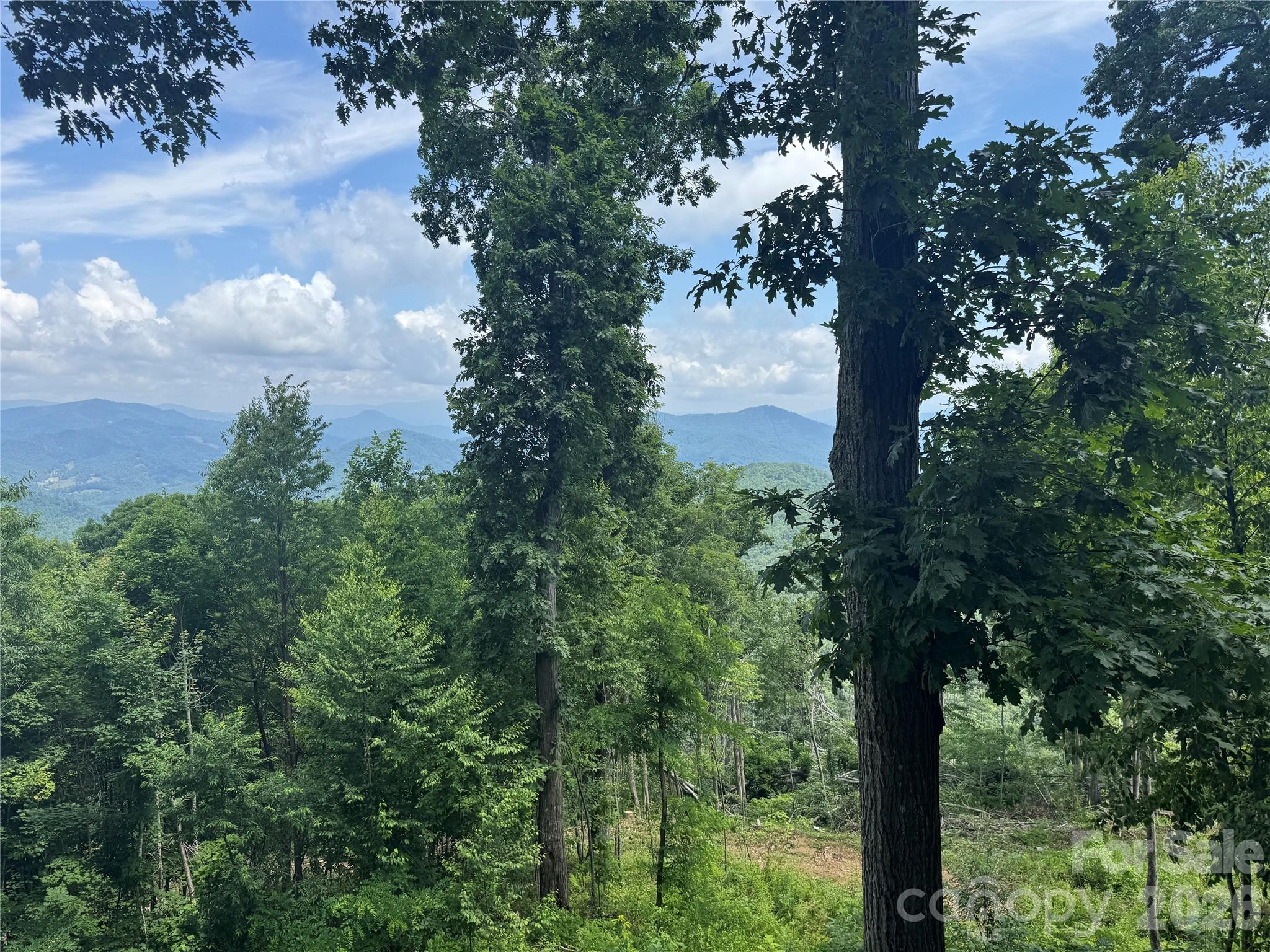 337 Rhododendron Lane — Burnsville