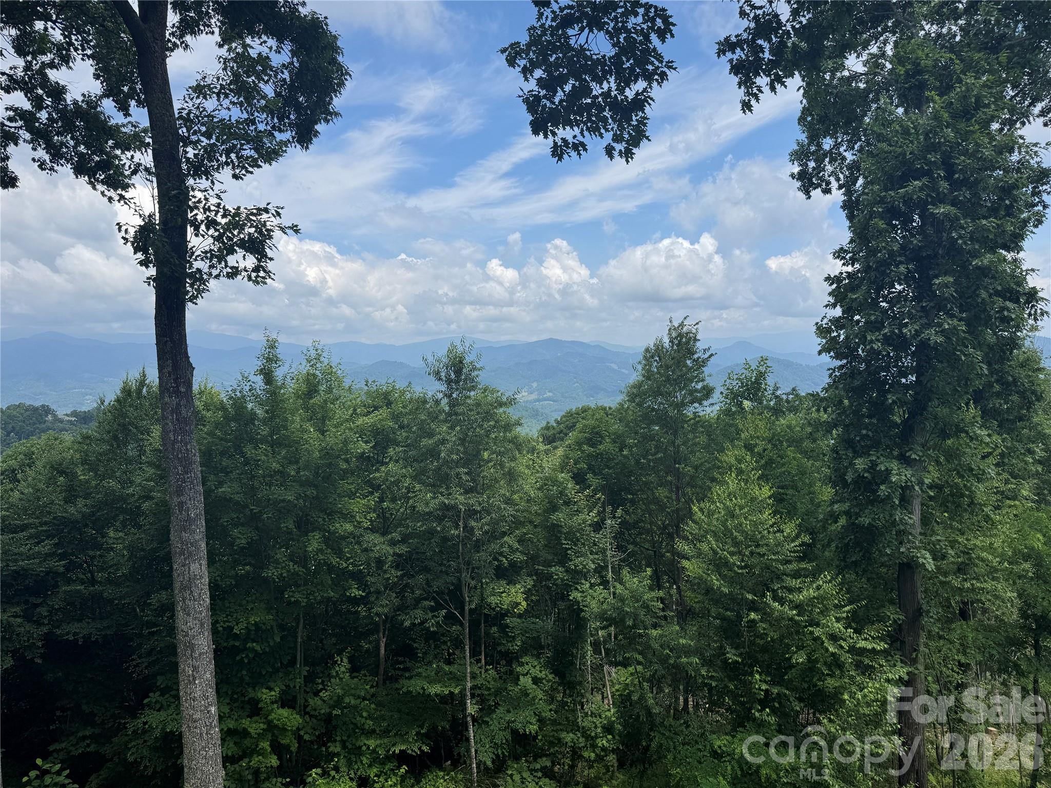 337 Rhododendron Lane — Burnsville