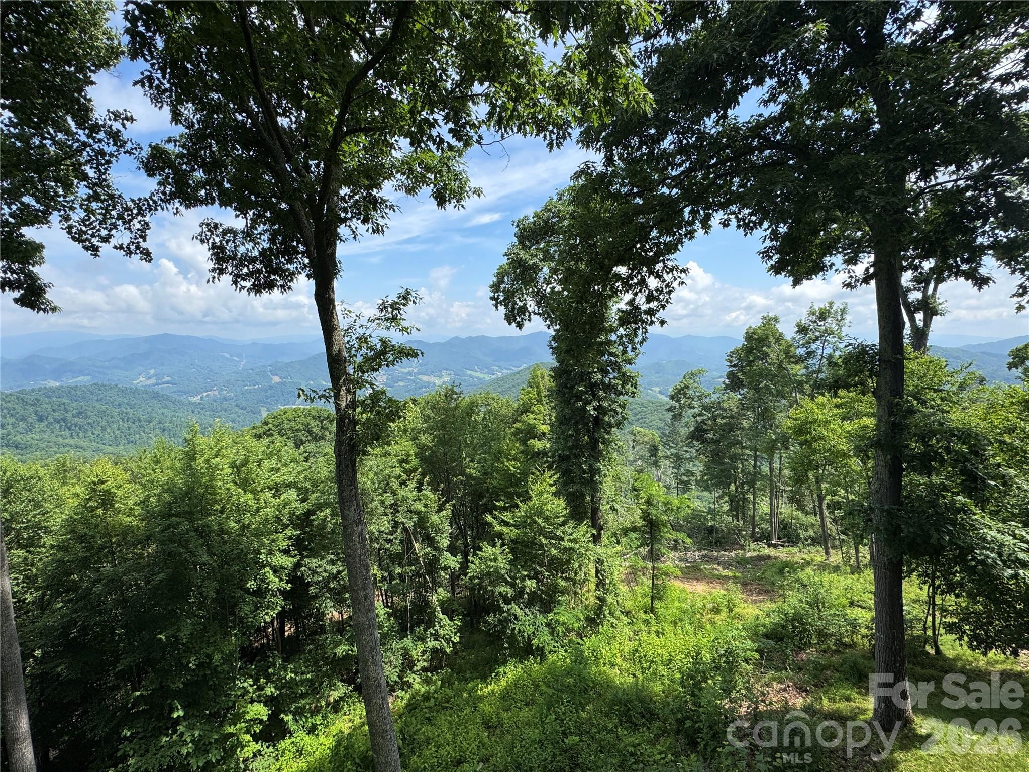 337 Rhododendron Lane — Burnsville
