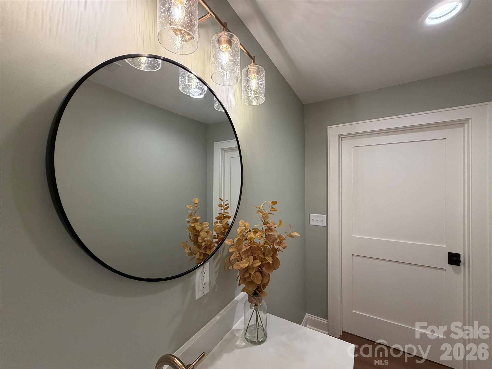 316 Big Raven Lane — Saluda