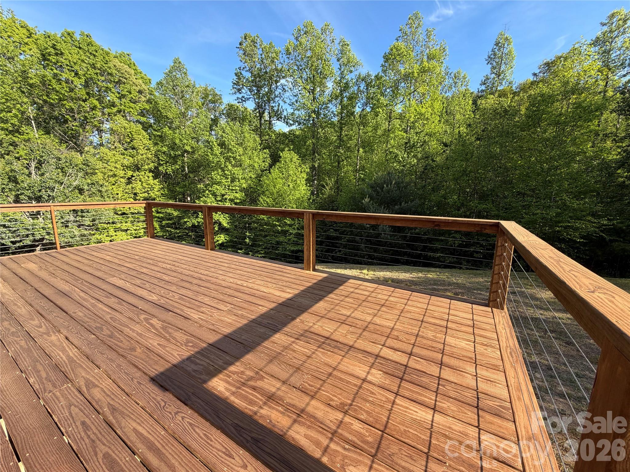 316 Big Raven Lane — Saluda