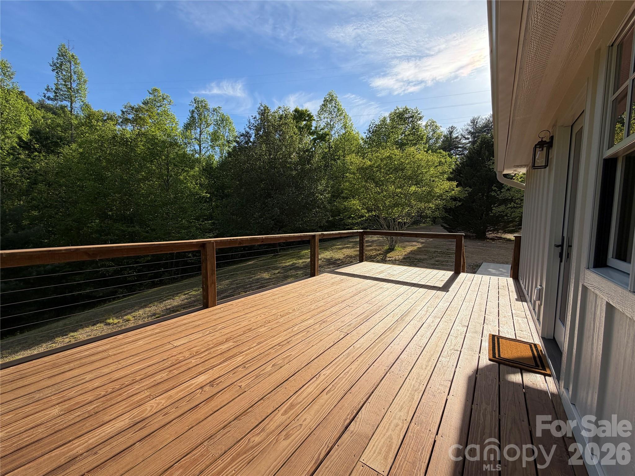 316 Big Raven Lane — Saluda