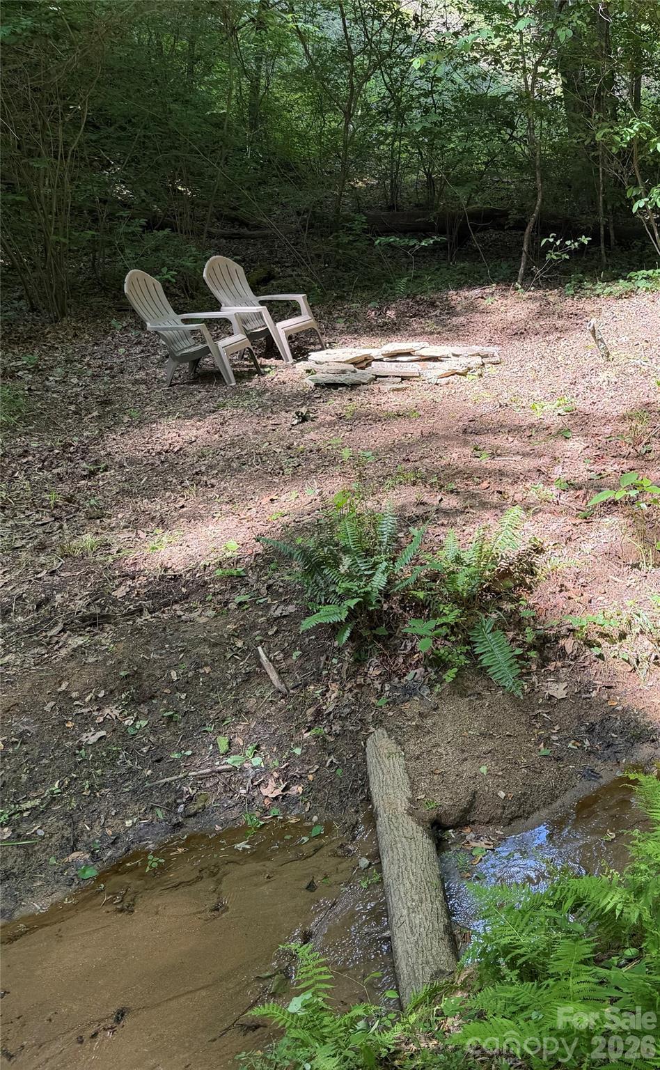 316 Big Raven Lane — Saluda