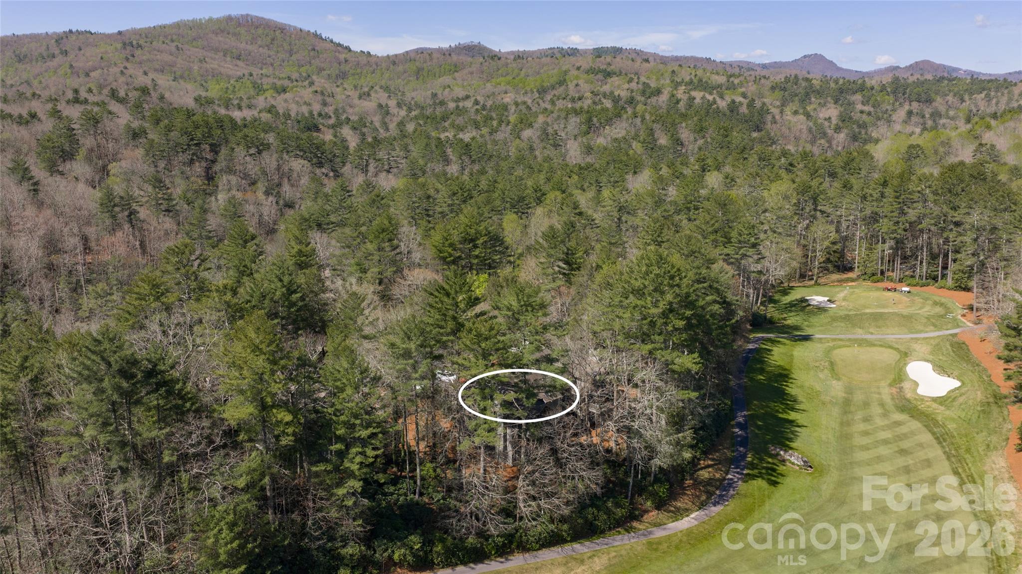 111 River Park Villas Drive — Sapphire