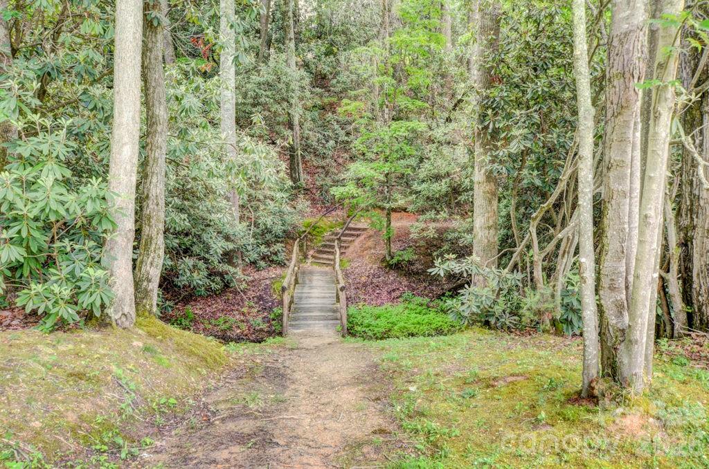 7 Magic Sam Court — Biltmore Lake