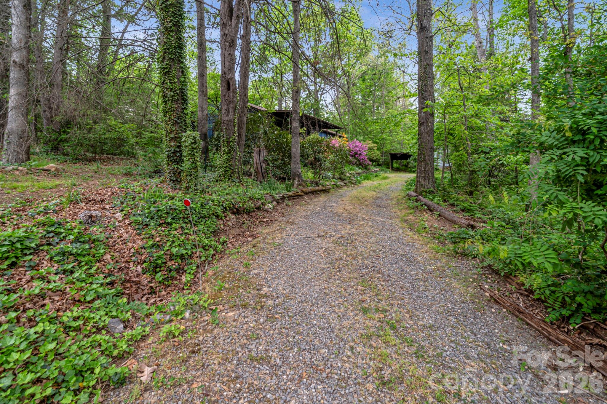257 Pine Street — Black Mountain