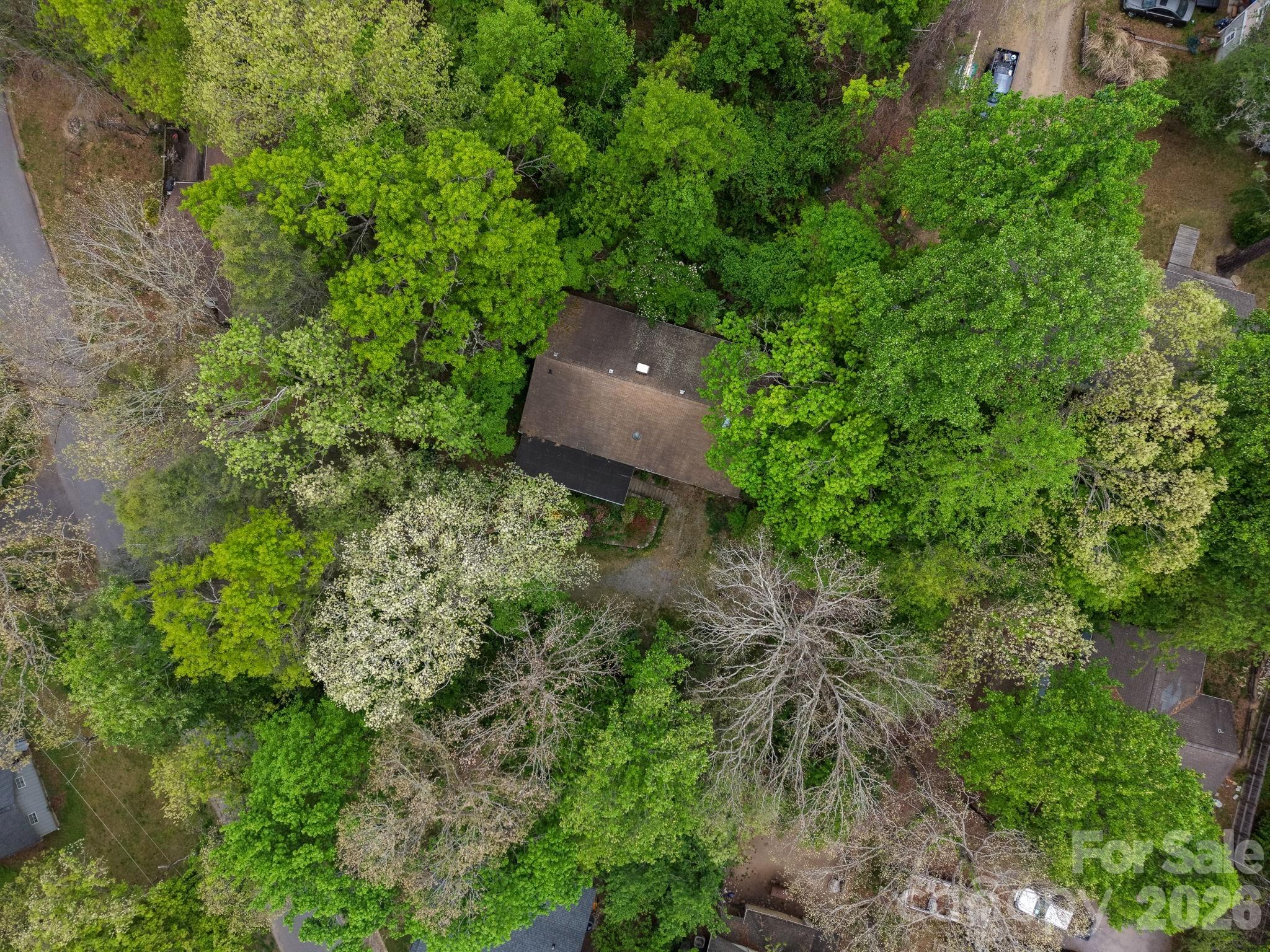 257 Pine Street — Black Mountain