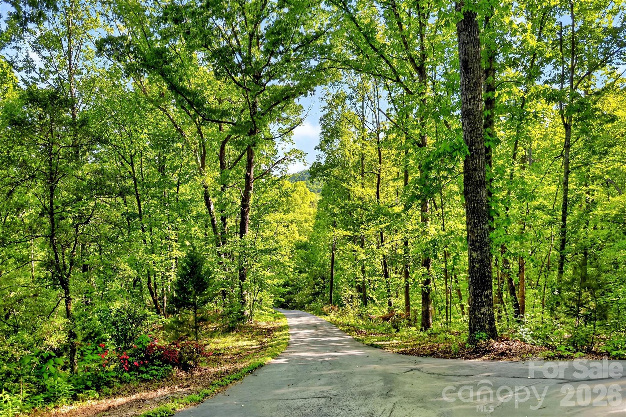 221 Hammer Hollow Drive — Marion