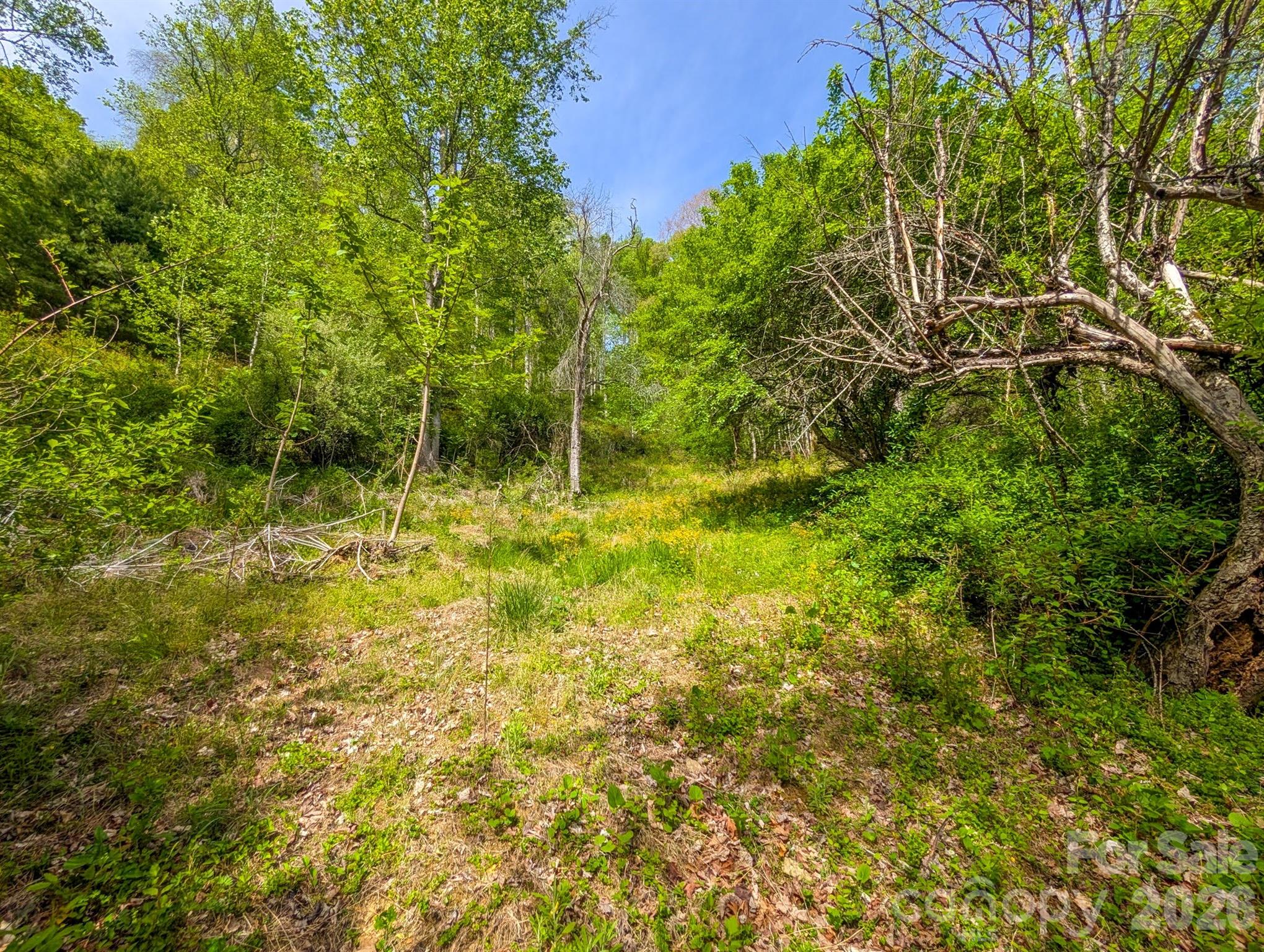 314 Byrd Creek Road — Green Mountain