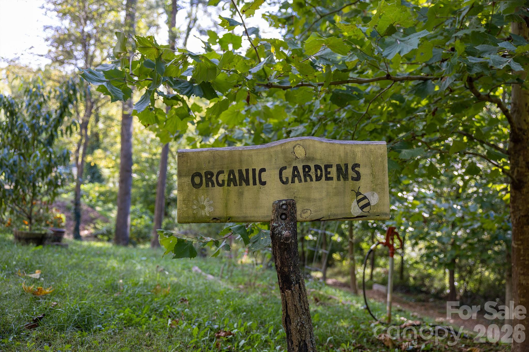 63 Orrinel Way — Asheville