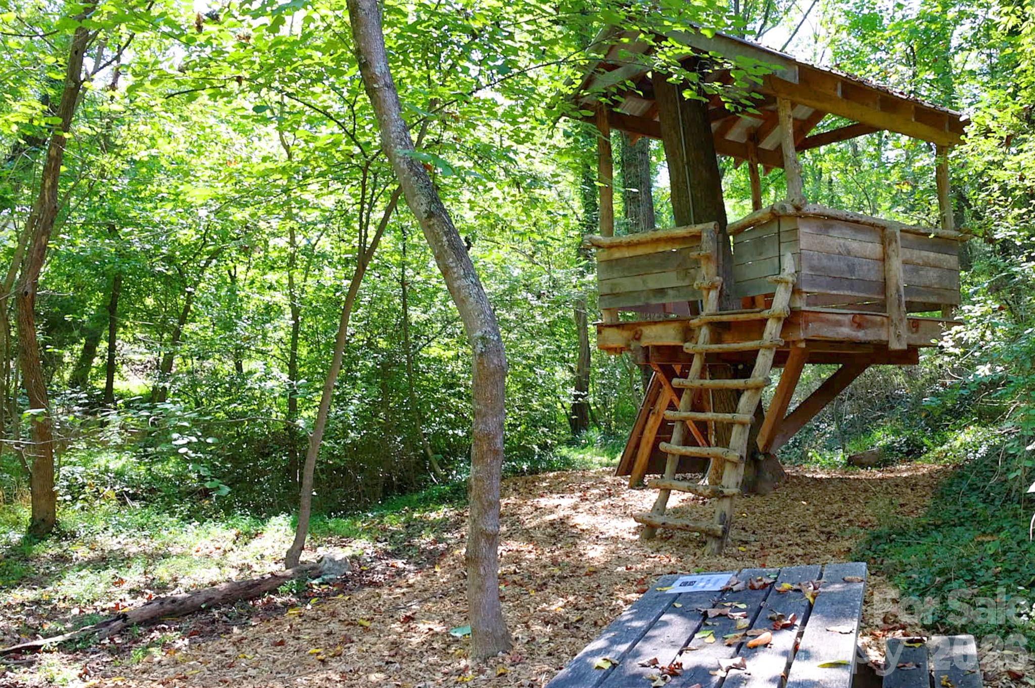 63 Orrinel Way — Asheville