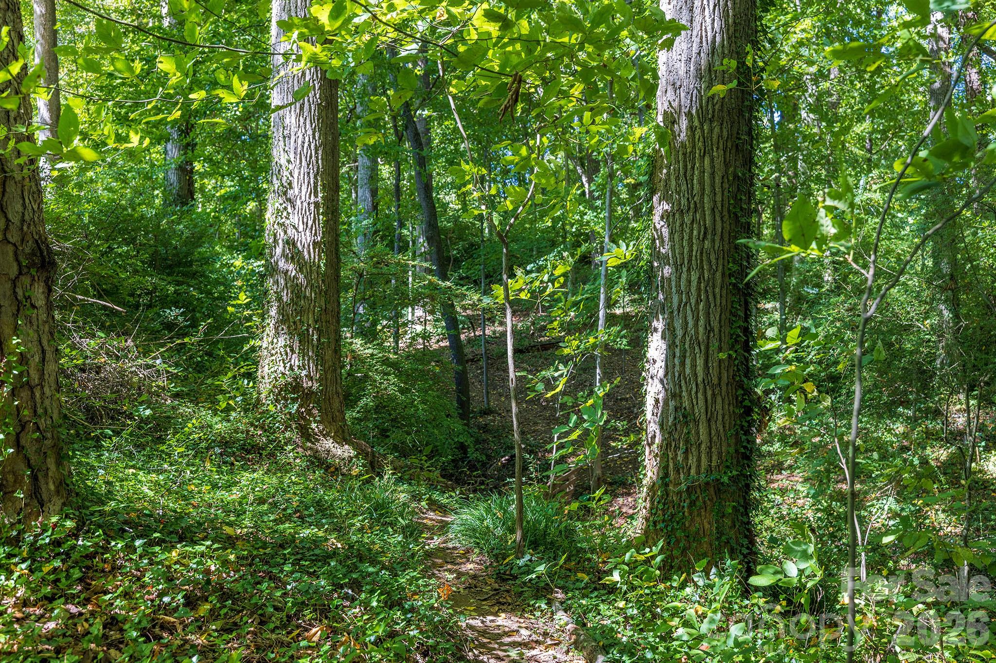 63 Orrinel Way — Asheville