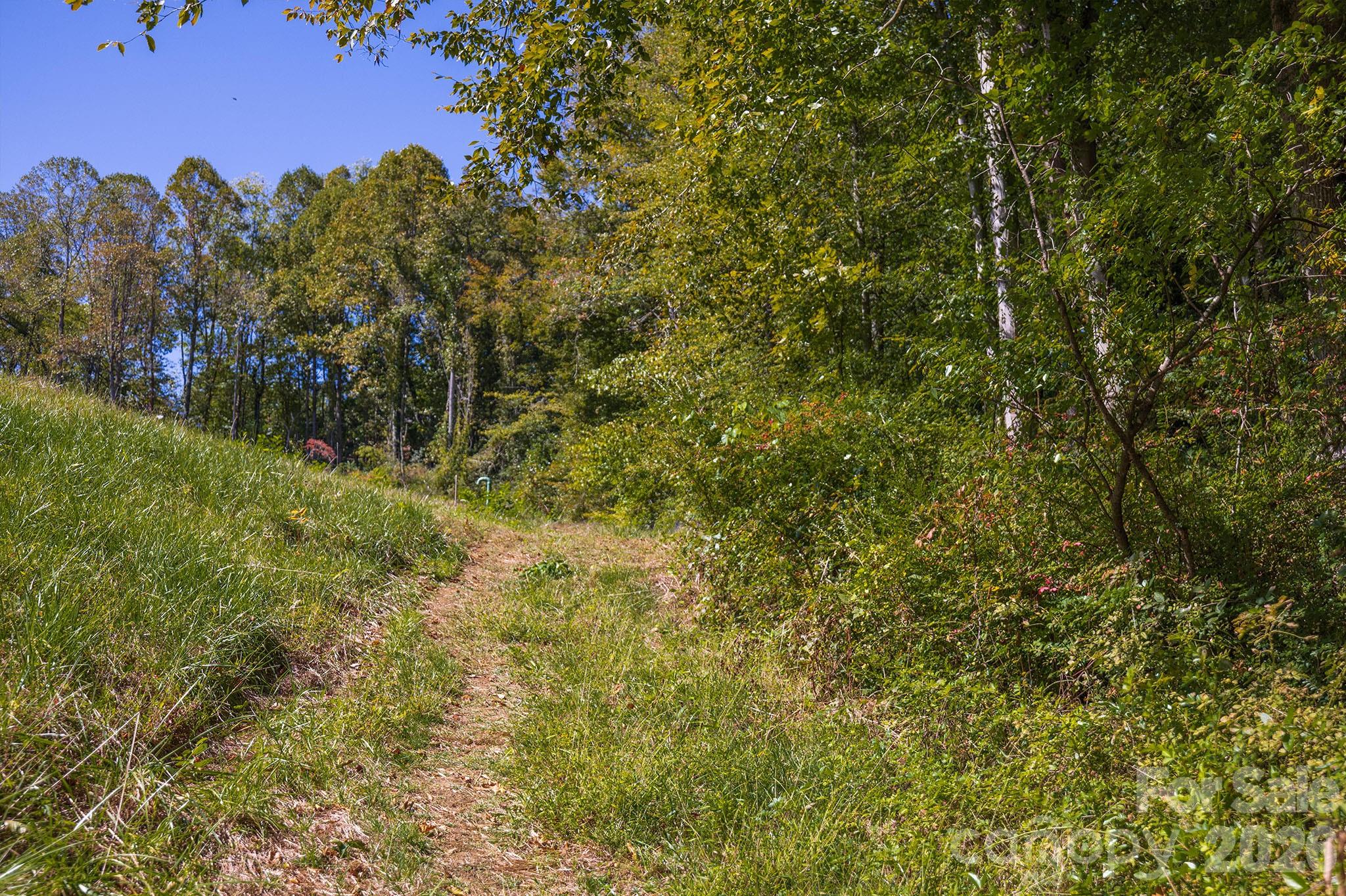 63 Orrinel Way — Asheville