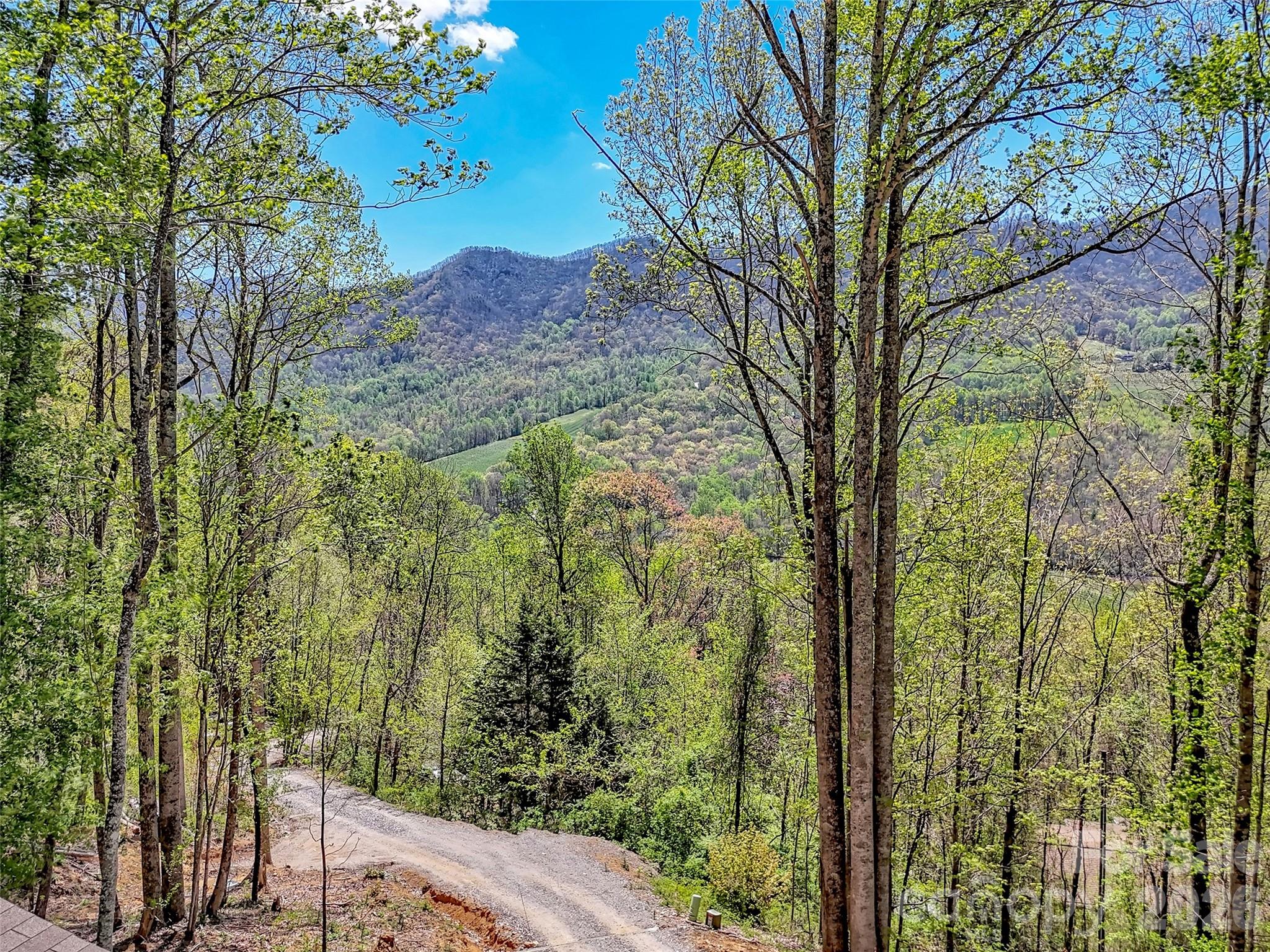 424 Arrington Acres Drive — Waynesville