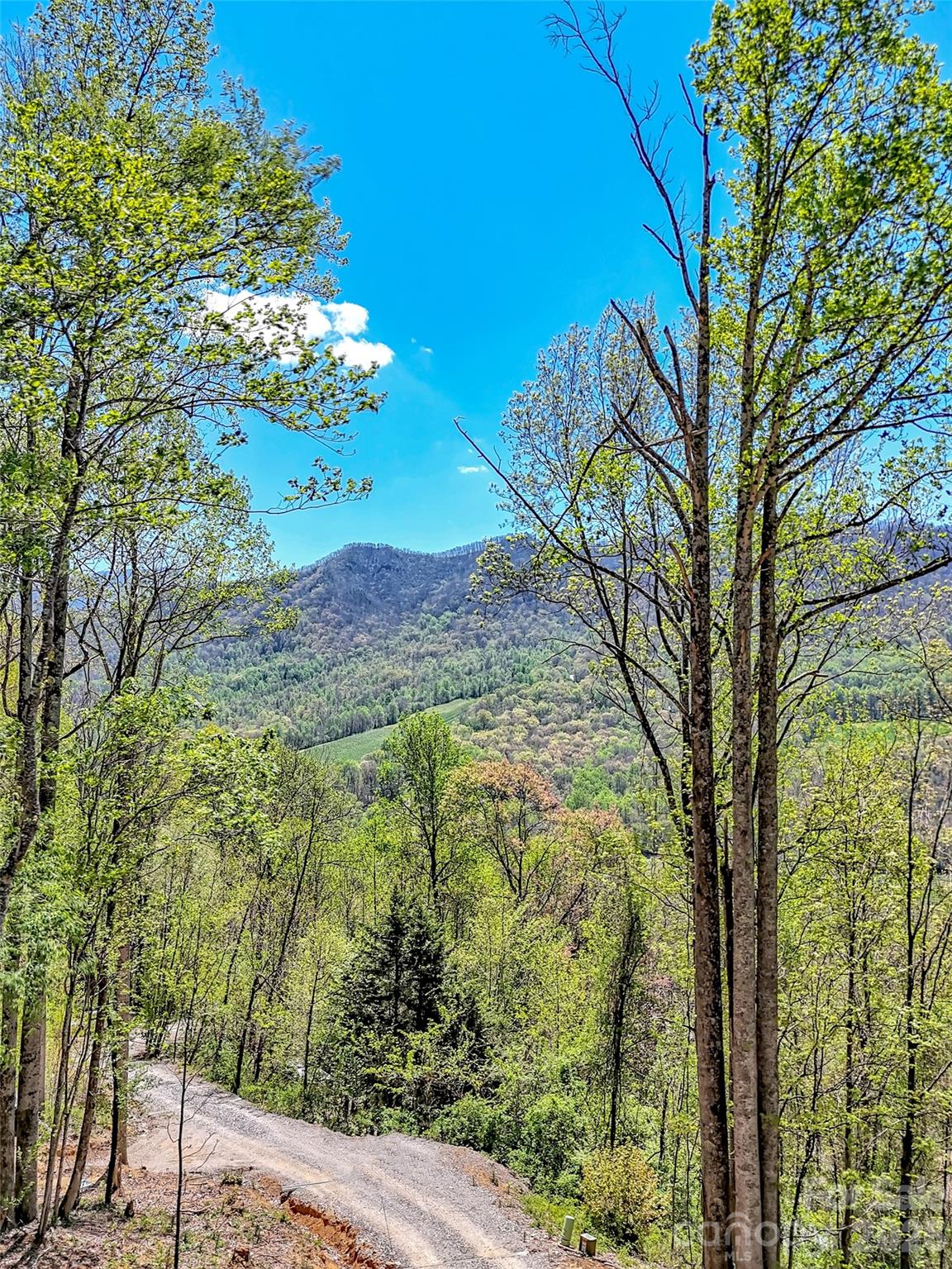 424 Arrington Acres Drive — Waynesville