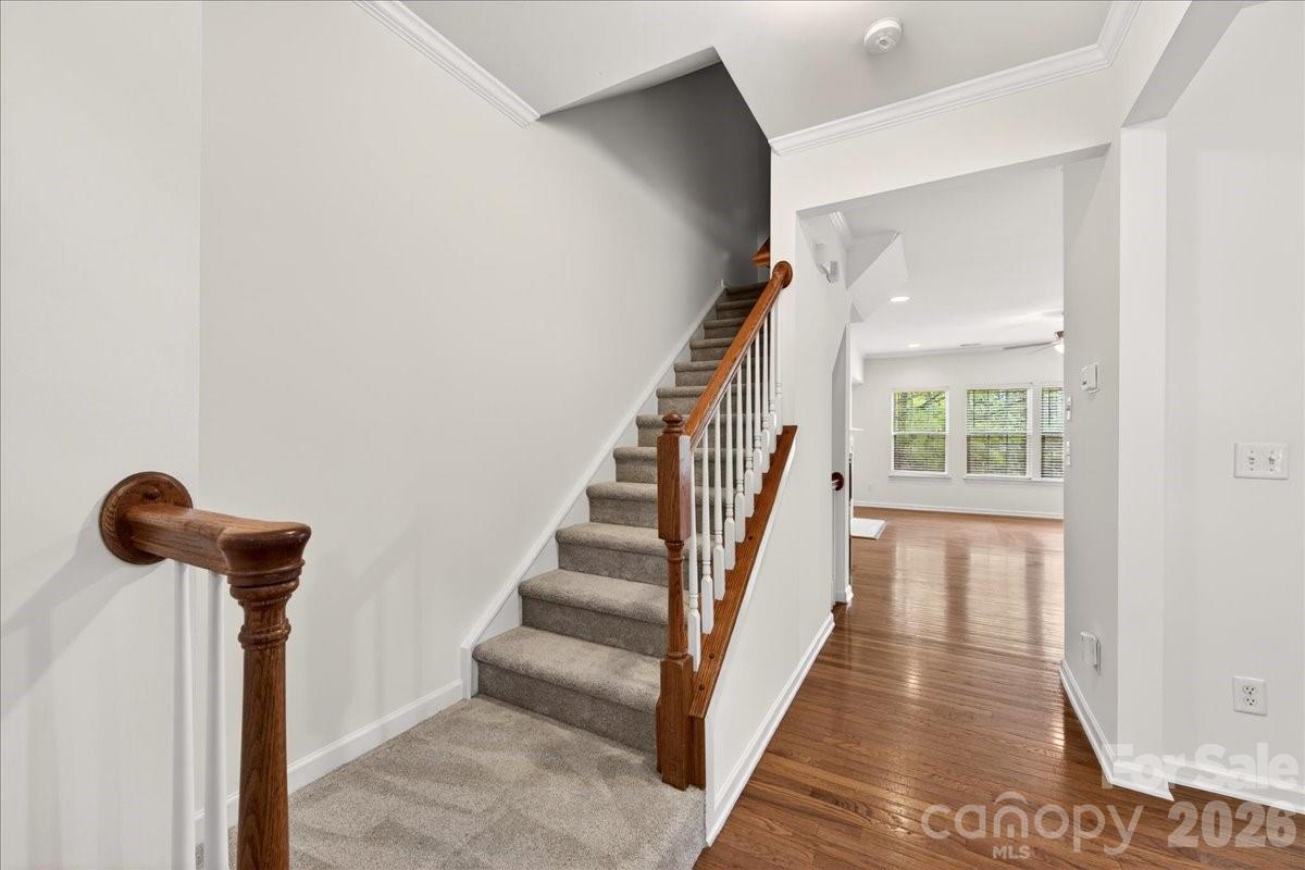 268 W Bland Street — Charlotte