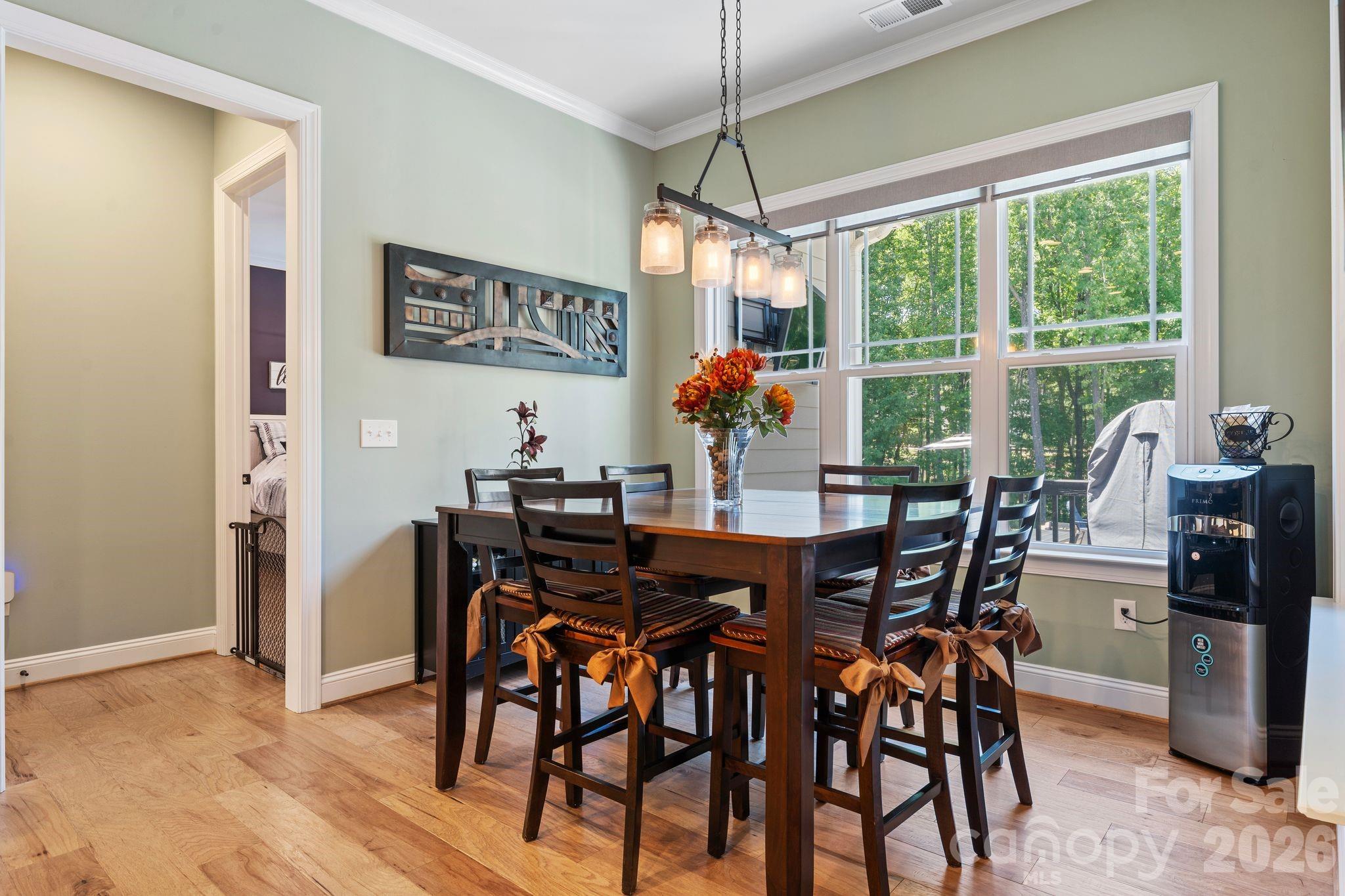 115 Hillside Cove Court — Mooresville