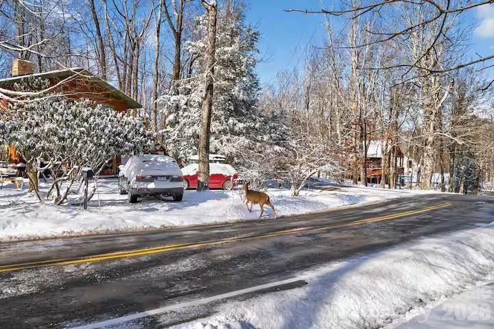 701 Charter Hills Road — Beech Mountain