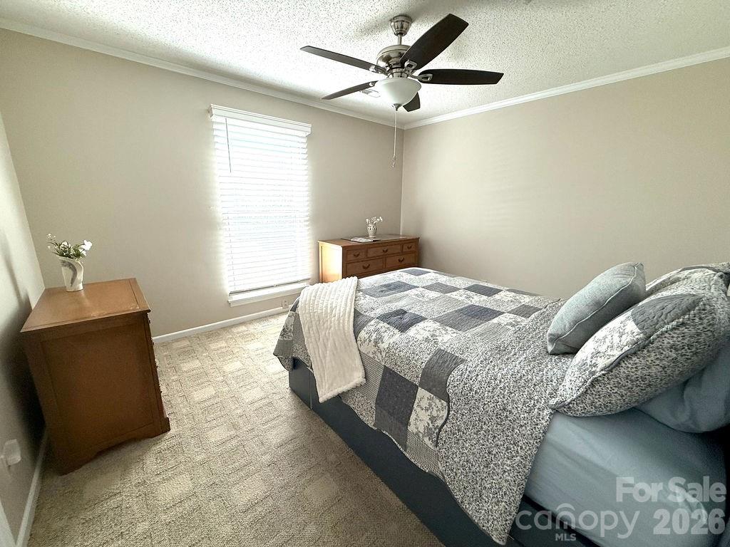 11718 Rimrock Canyon Drive — Charlotte