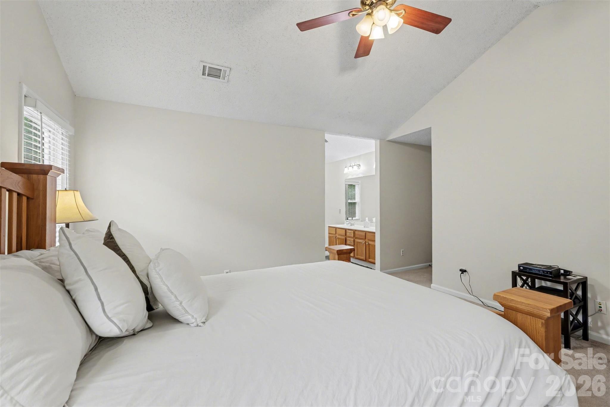 8910 Castlebay Drive — Charlotte