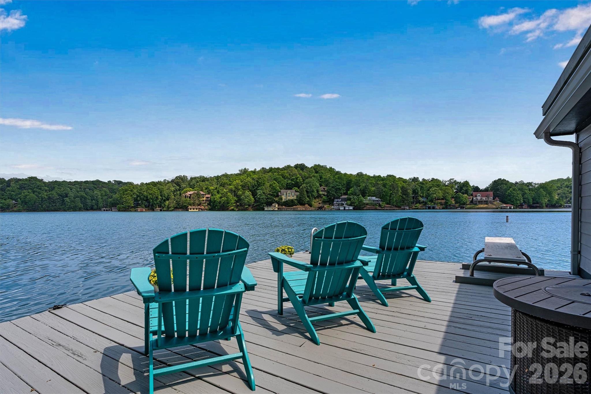 462 Charlotte Drive — Lake Lure