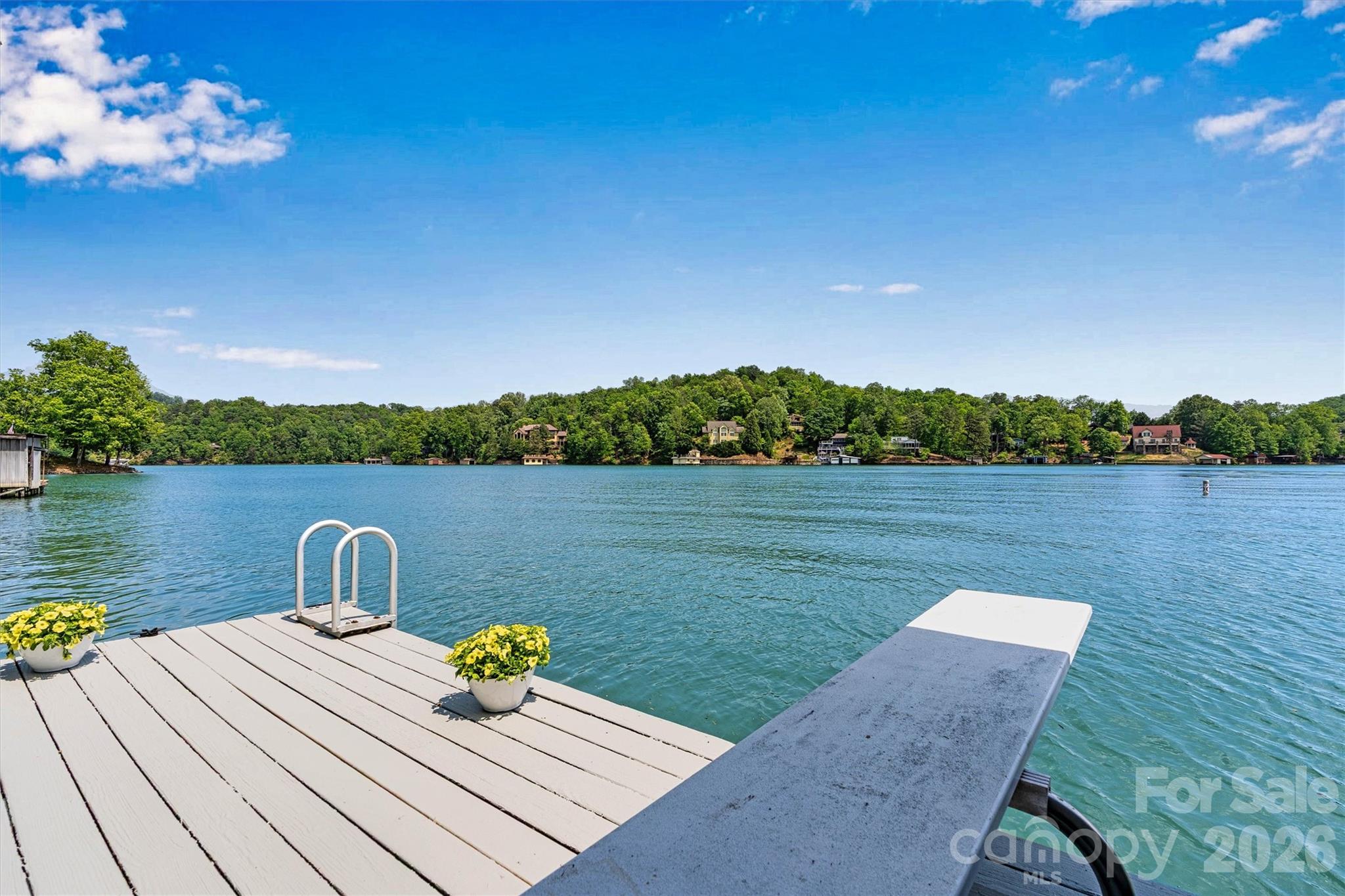 462 Charlotte Drive — Lake Lure