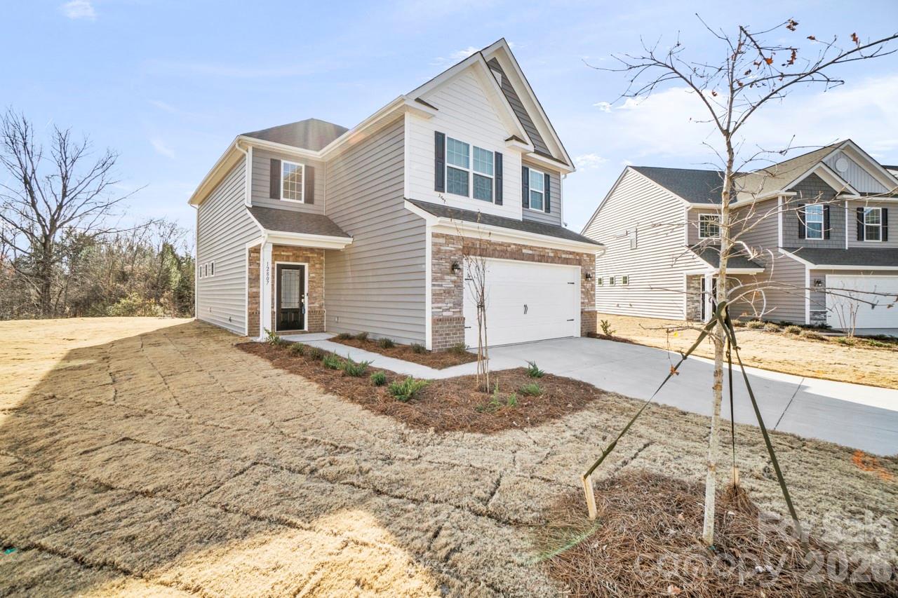 12807 Canterbury Castle Drive — Charlotte