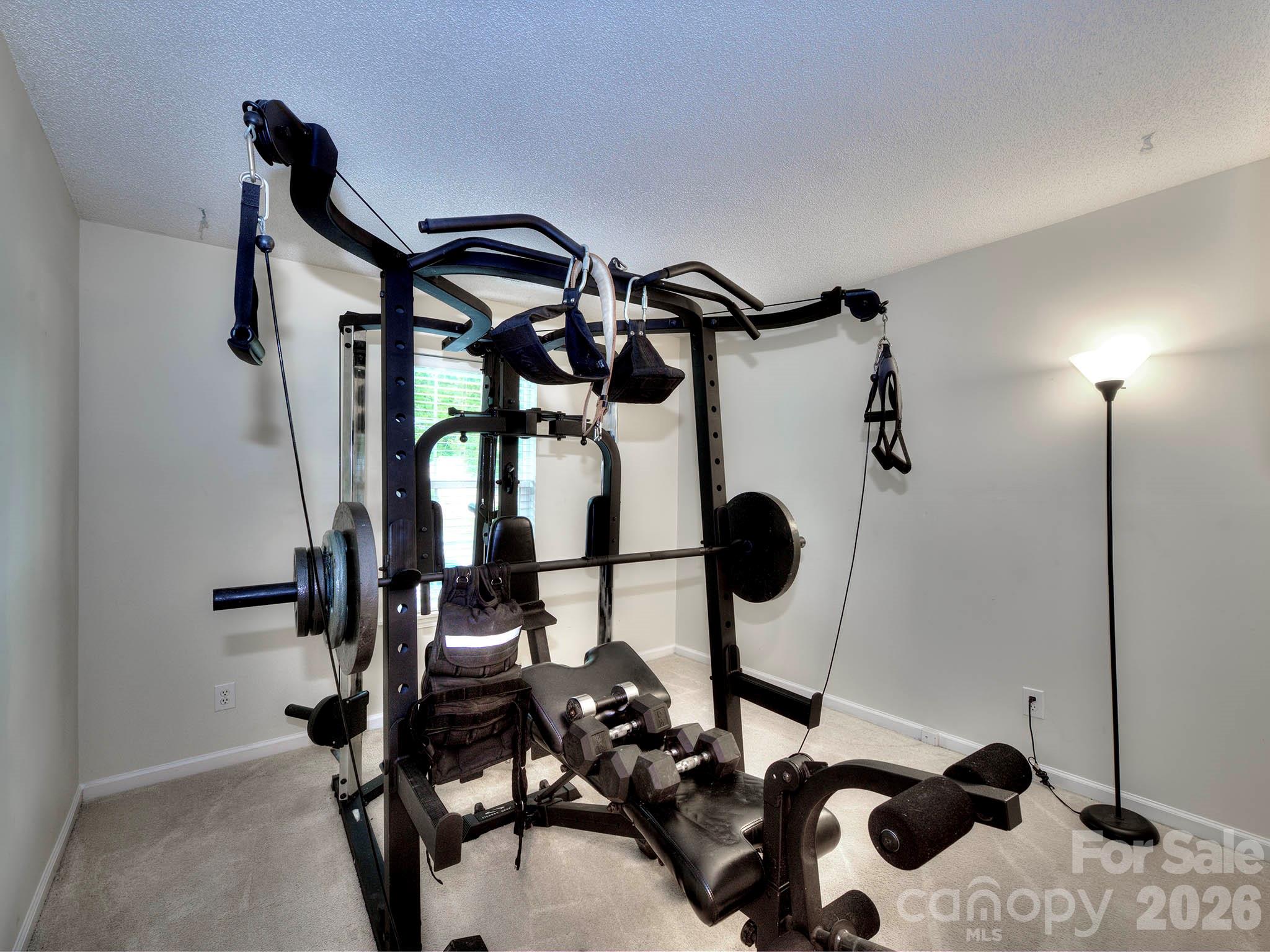 3102 Mintleaf Drive — Charlotte