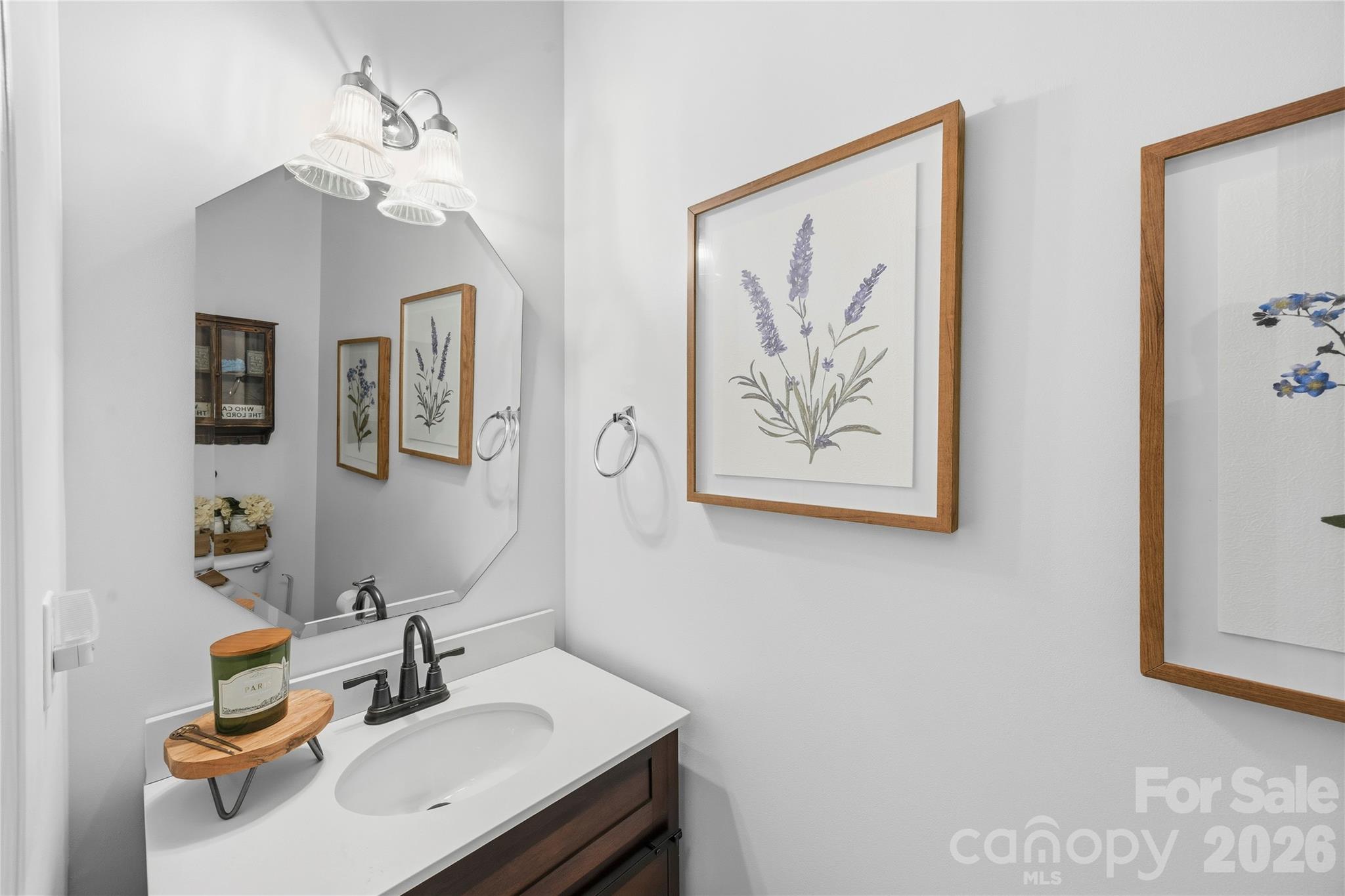 3041 Kilbeggan Drive — Lake Wylie