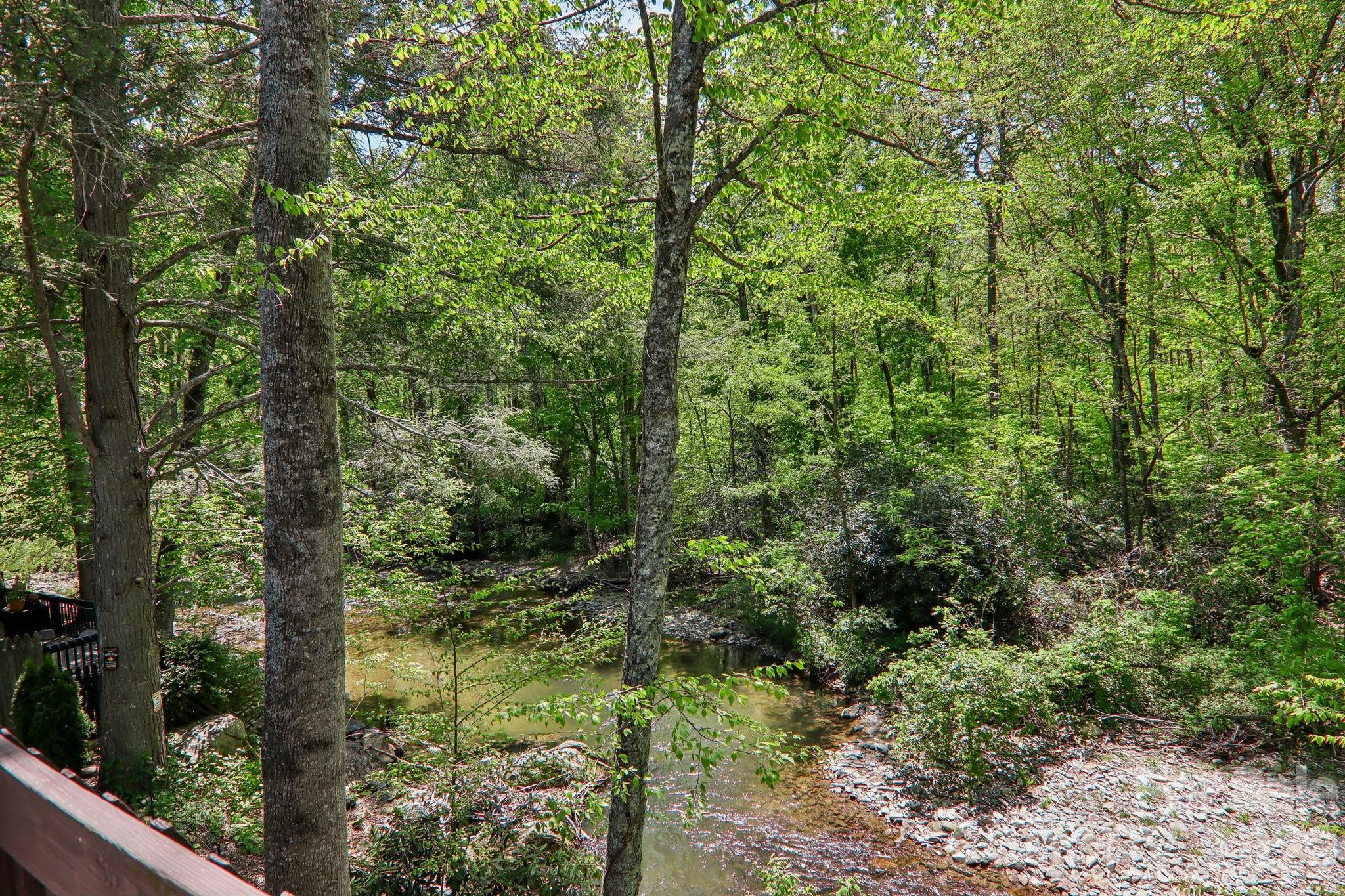 12 Indian Trace Road — Maggie Valley