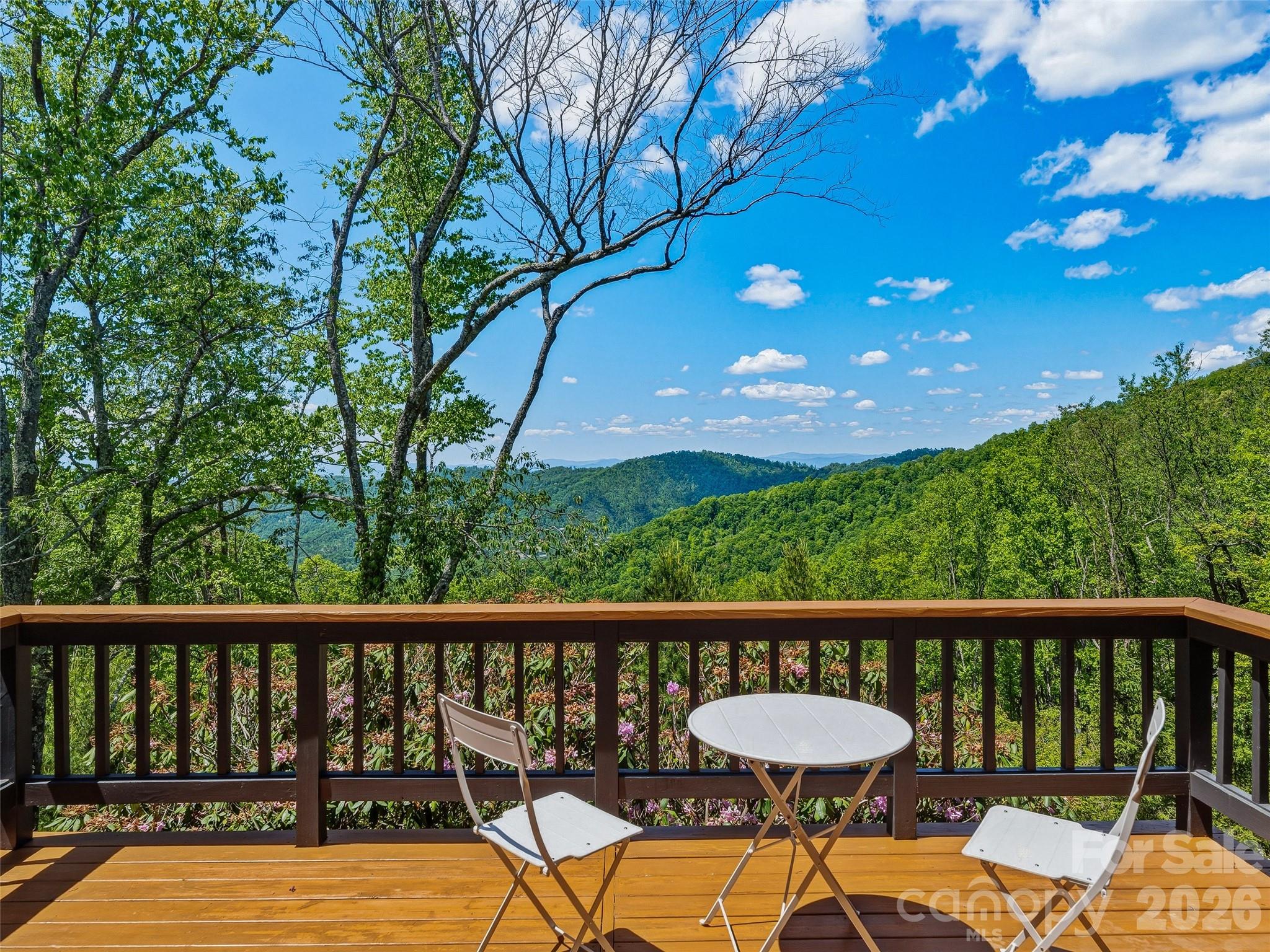 100 Big Spring Drive — Asheville
