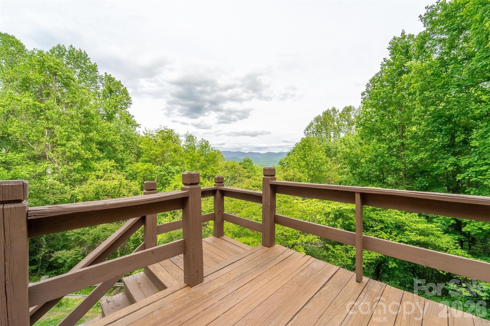 1413 Kitchens Branch Road — Sylva