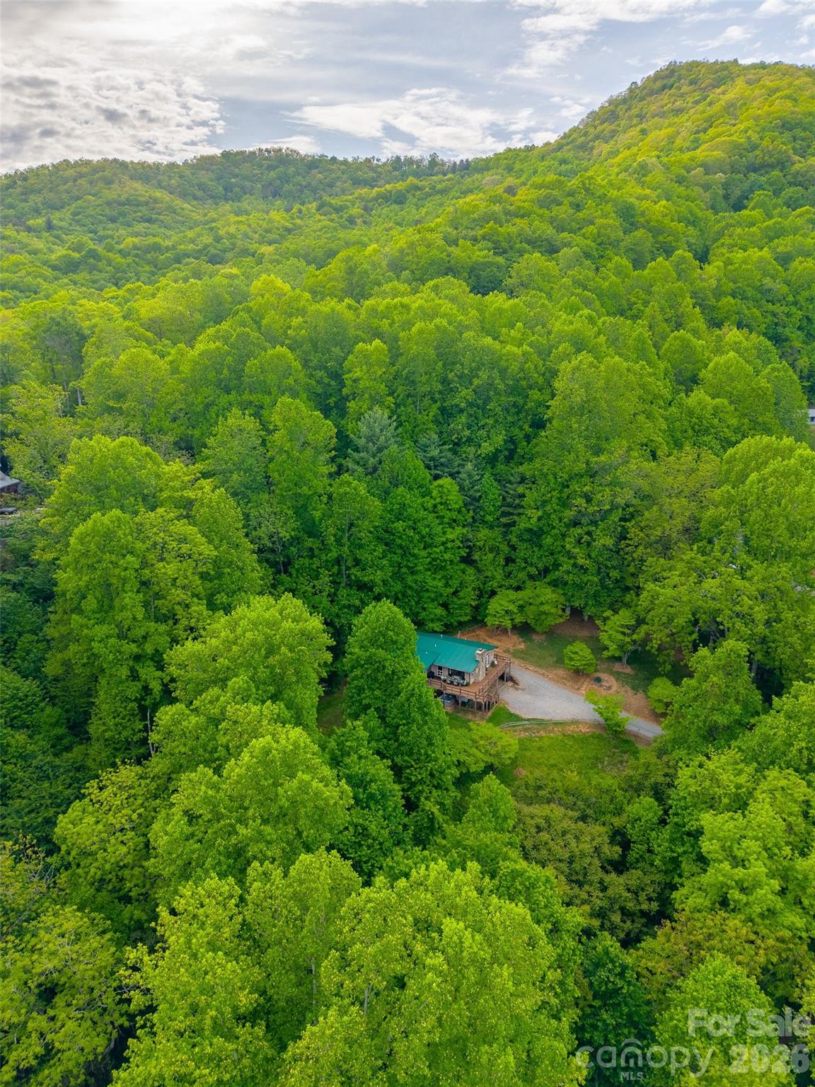 1413 Kitchens Branch Road — Sylva