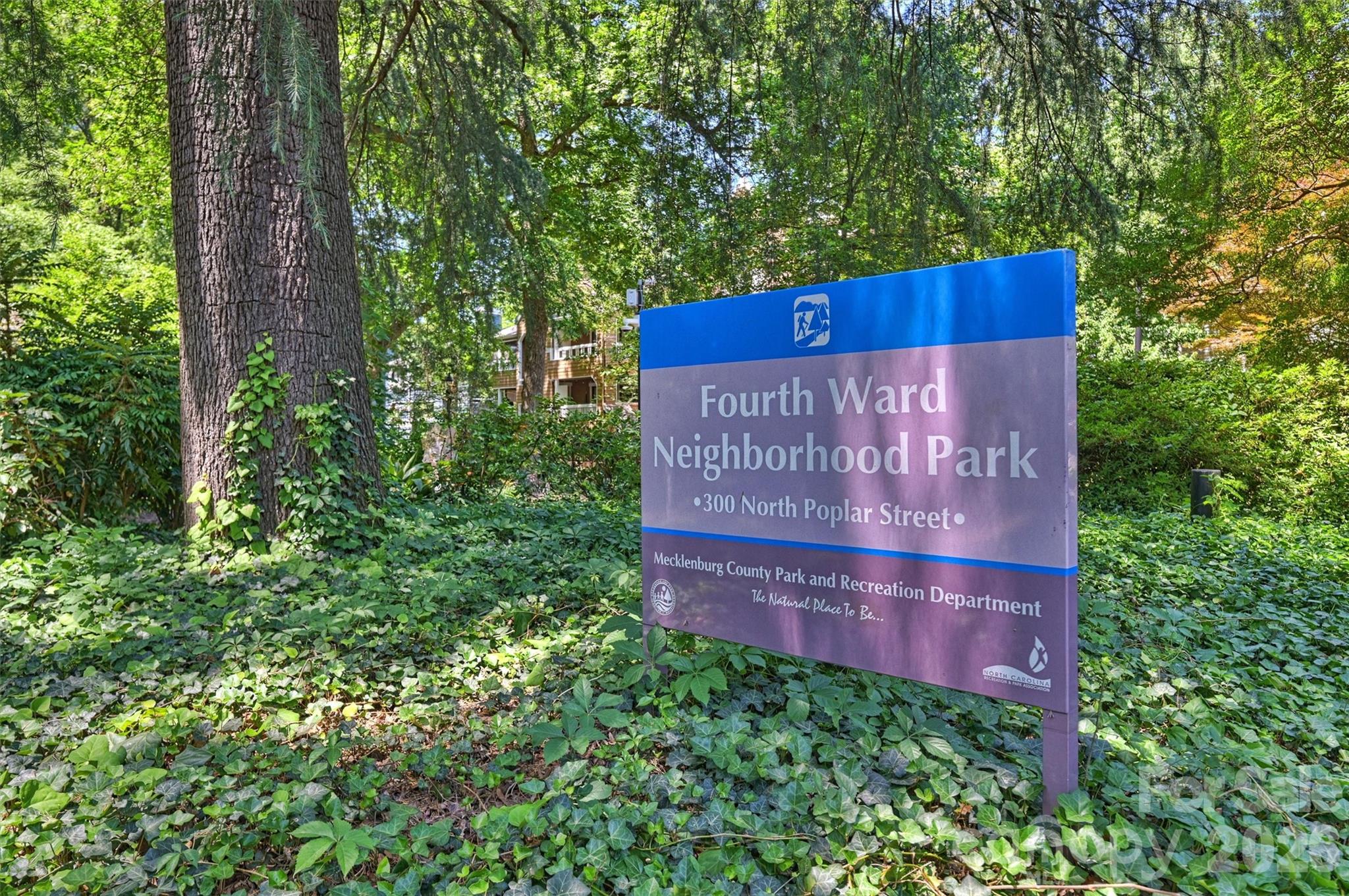 520 N Poplar Street #I — Charlotte