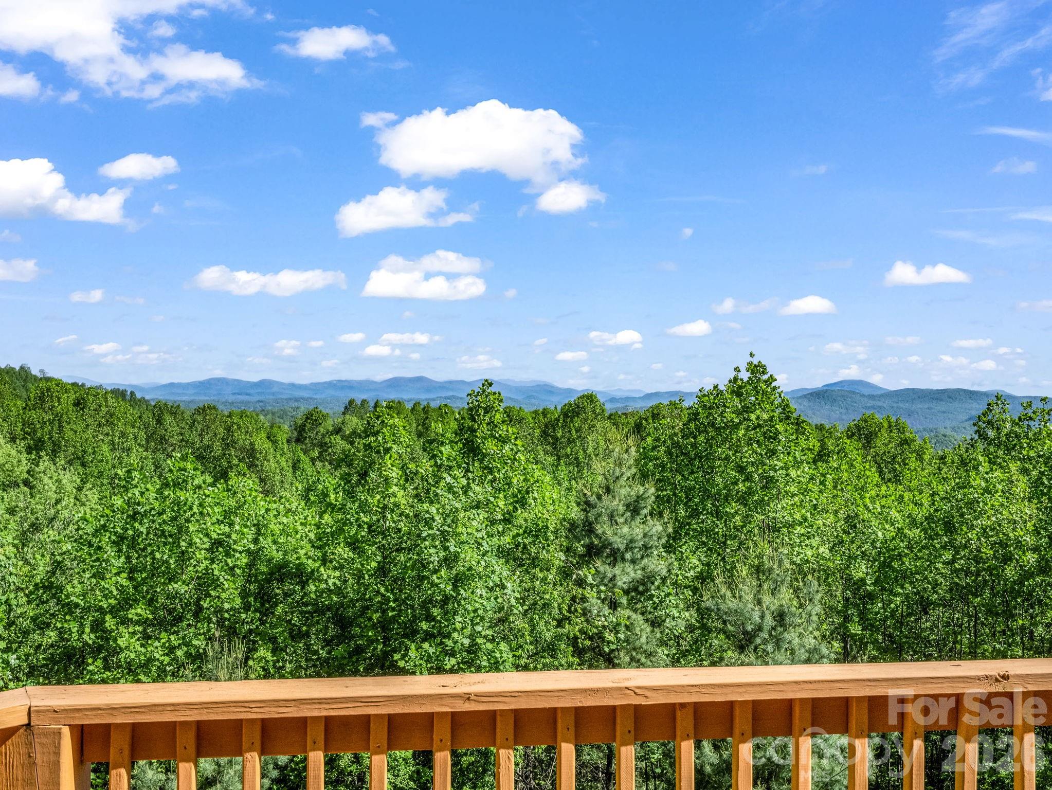 603 Pace Mountain Road — Saluda