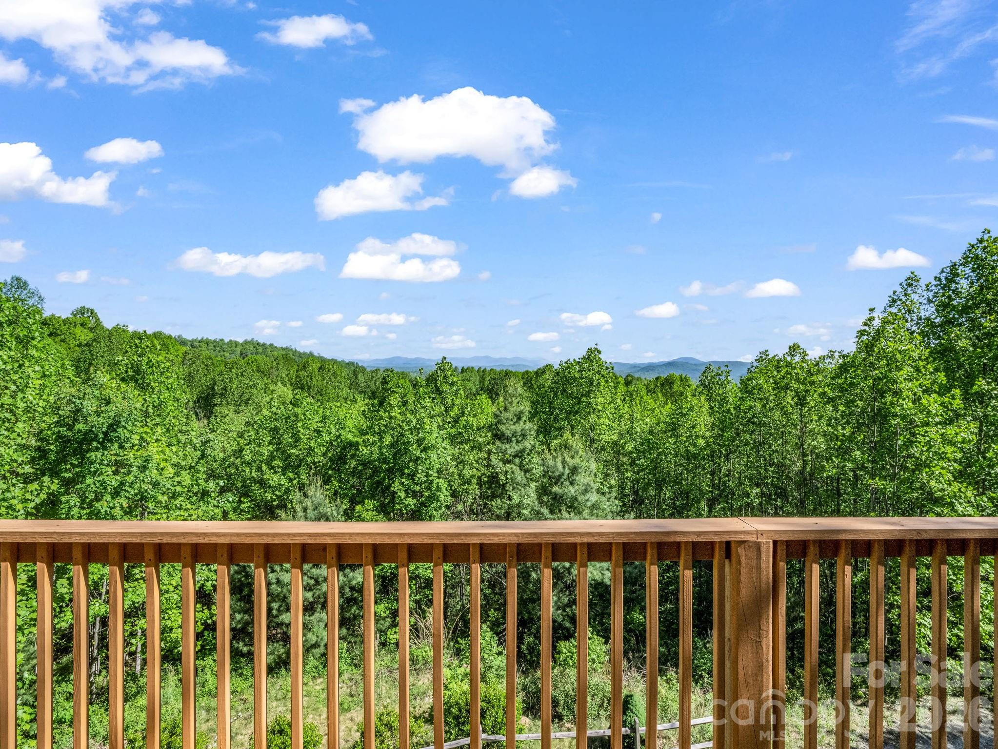 603 Pace Mountain Road — Saluda