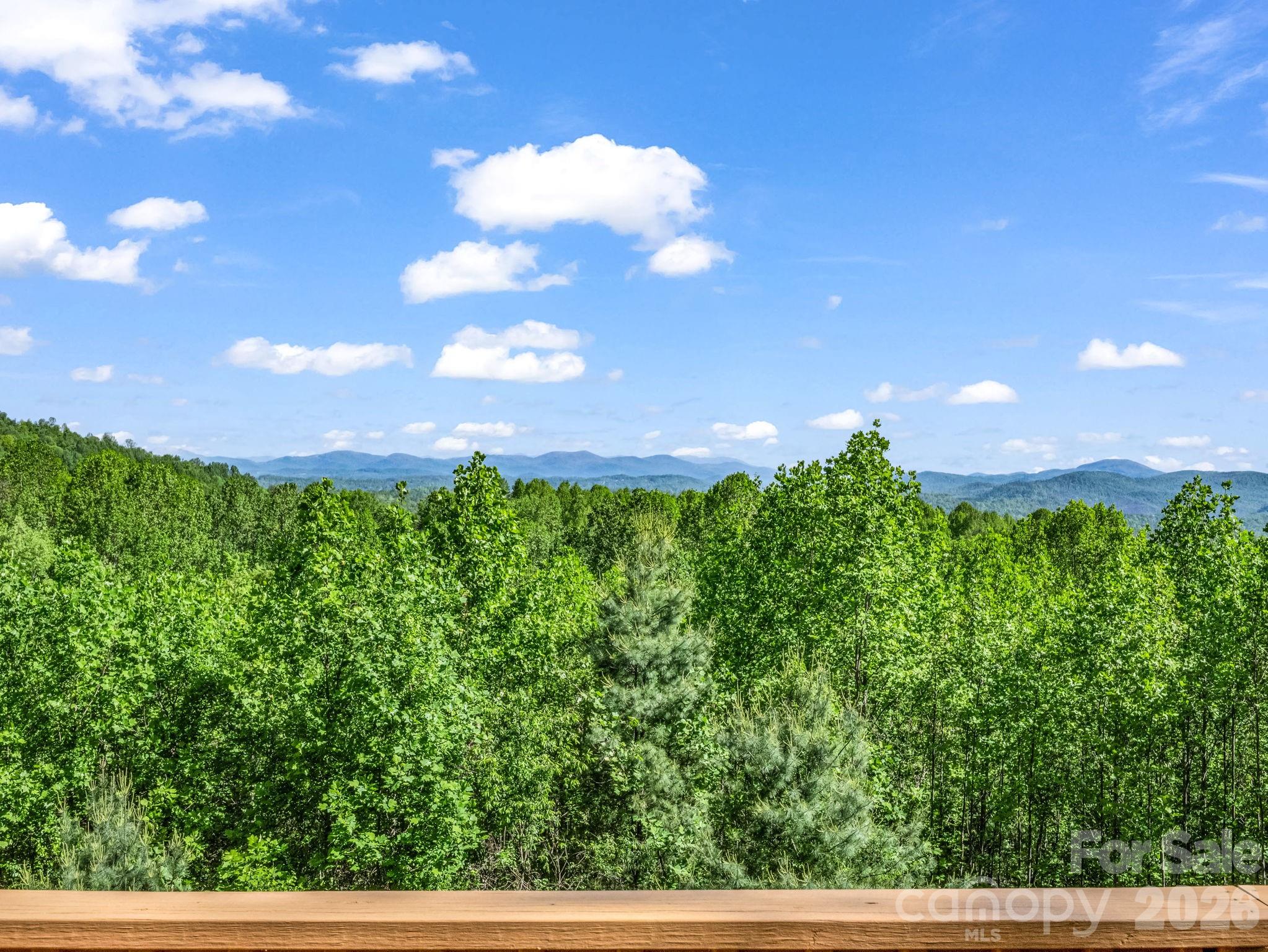 603 Pace Mountain Road — Saluda