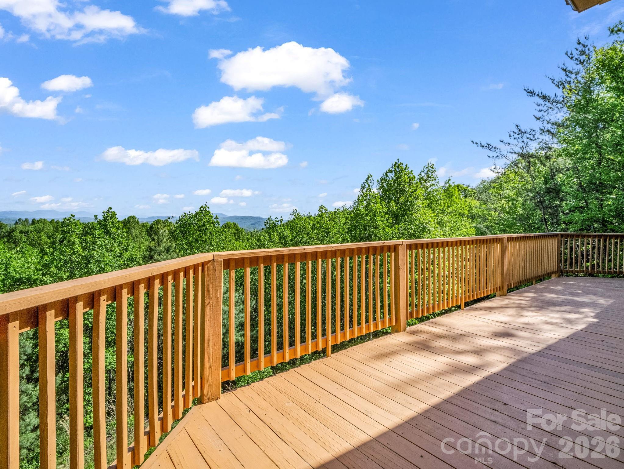 603 Pace Mountain Road — Saluda