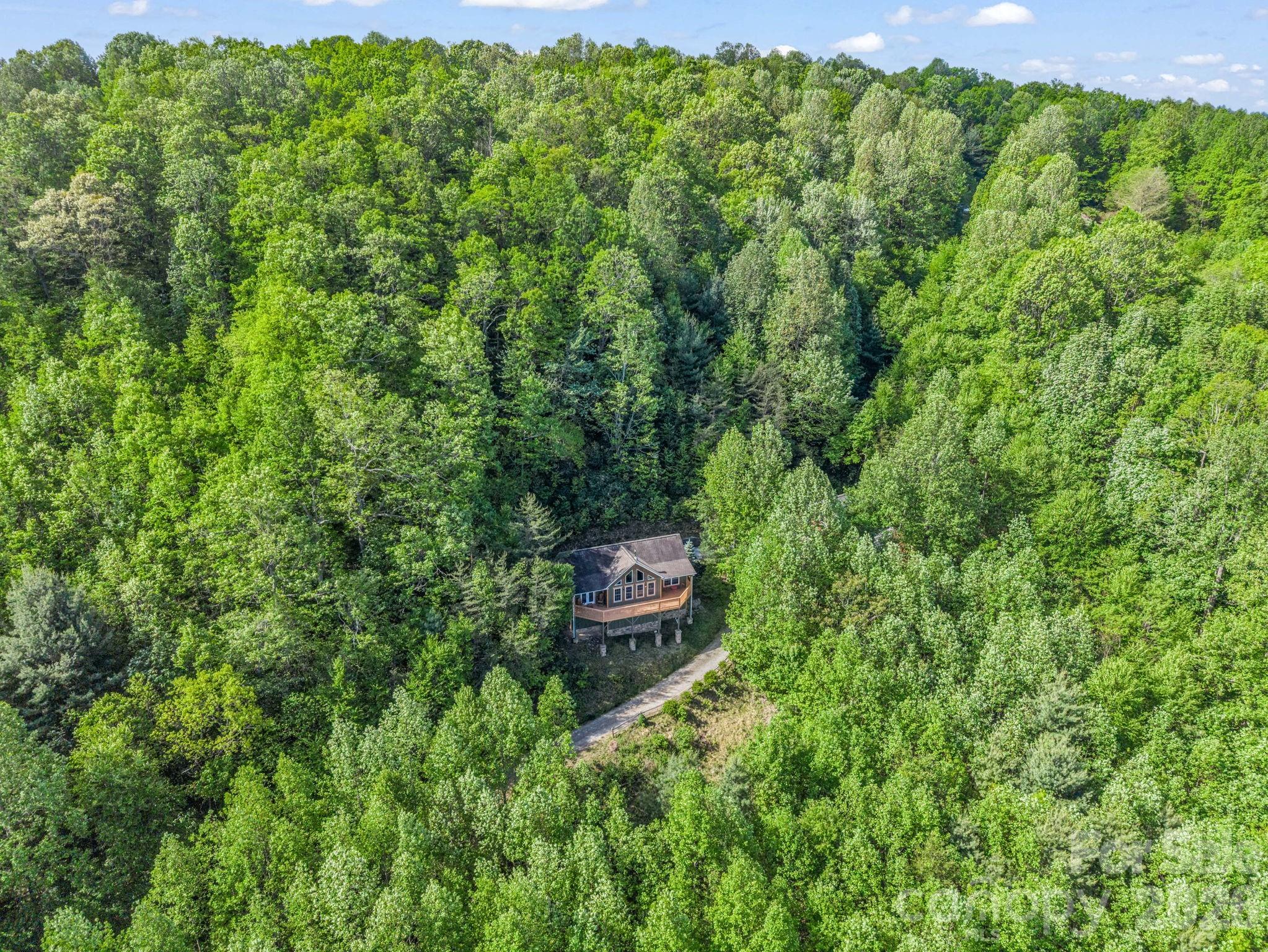 603 Pace Mountain Road — Saluda