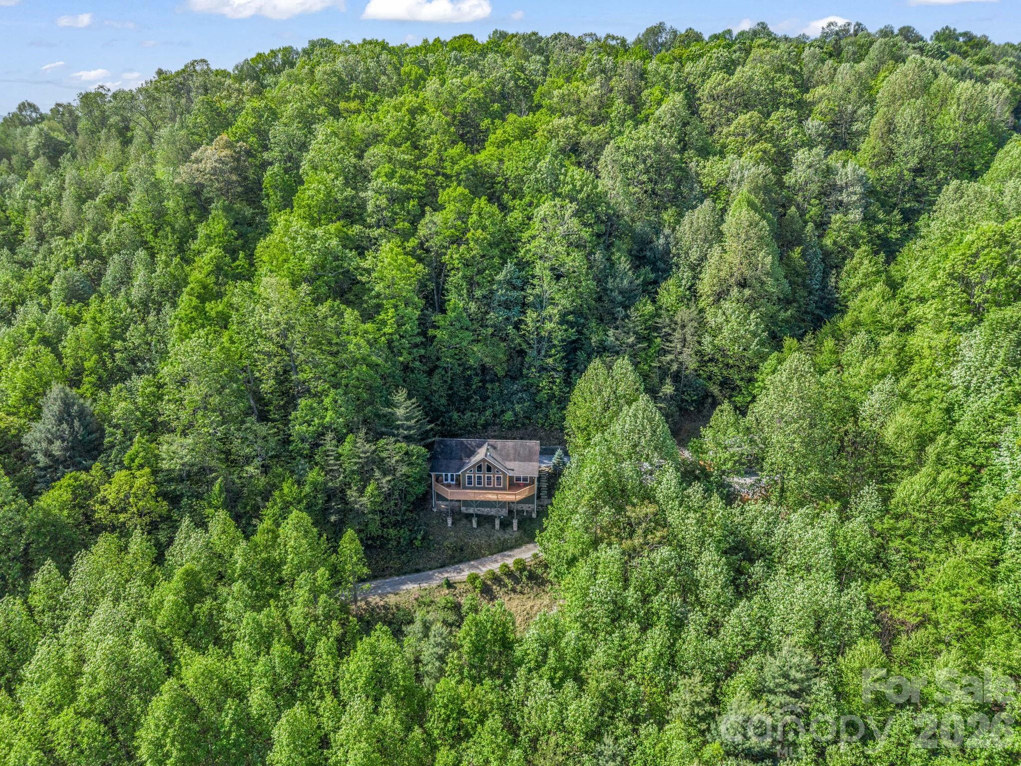 603 Pace Mountain Road — Saluda