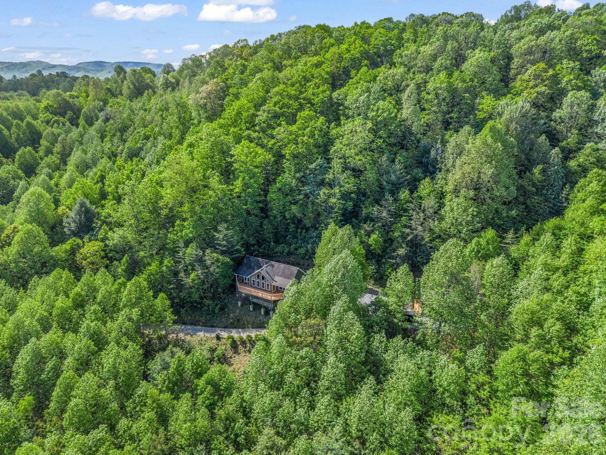 603 Pace Mountain Road — Saluda