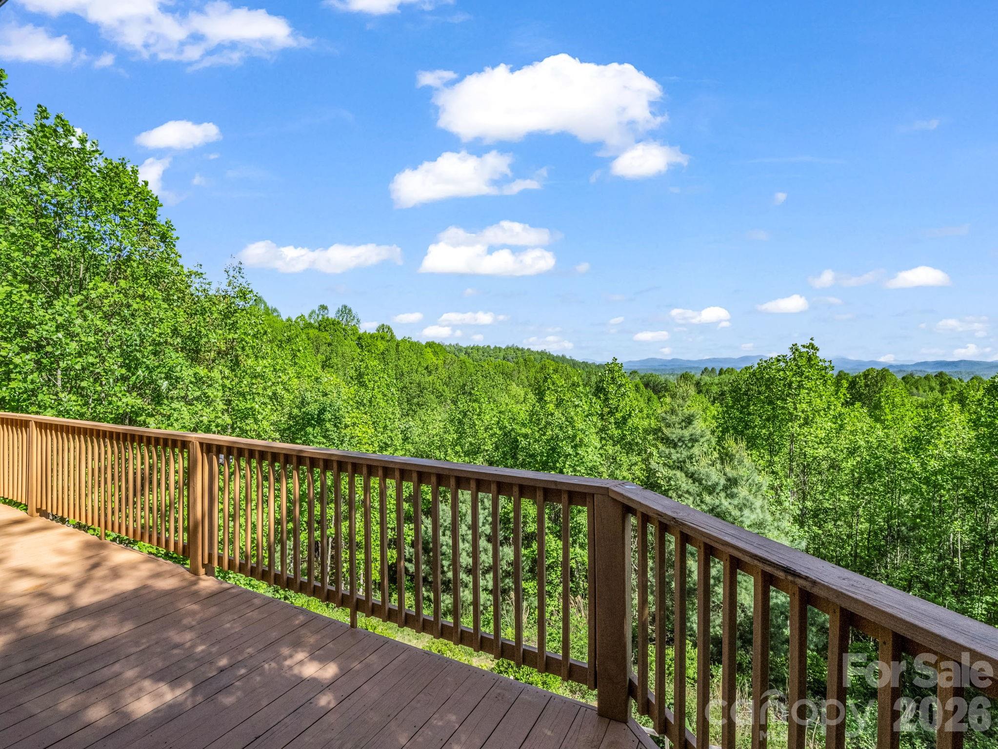 603 Pace Mountain Road — Saluda