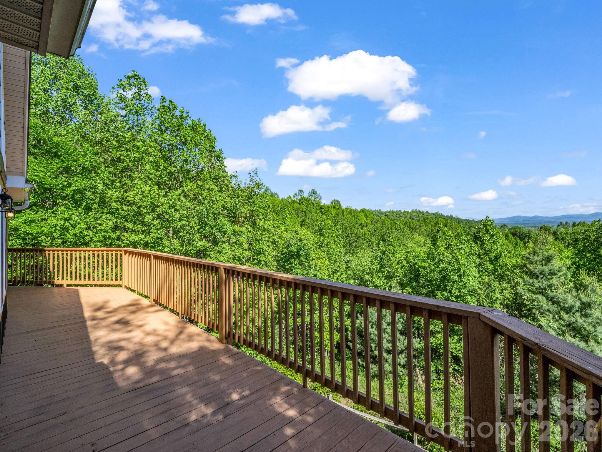 603 Pace Mountain Road — Saluda