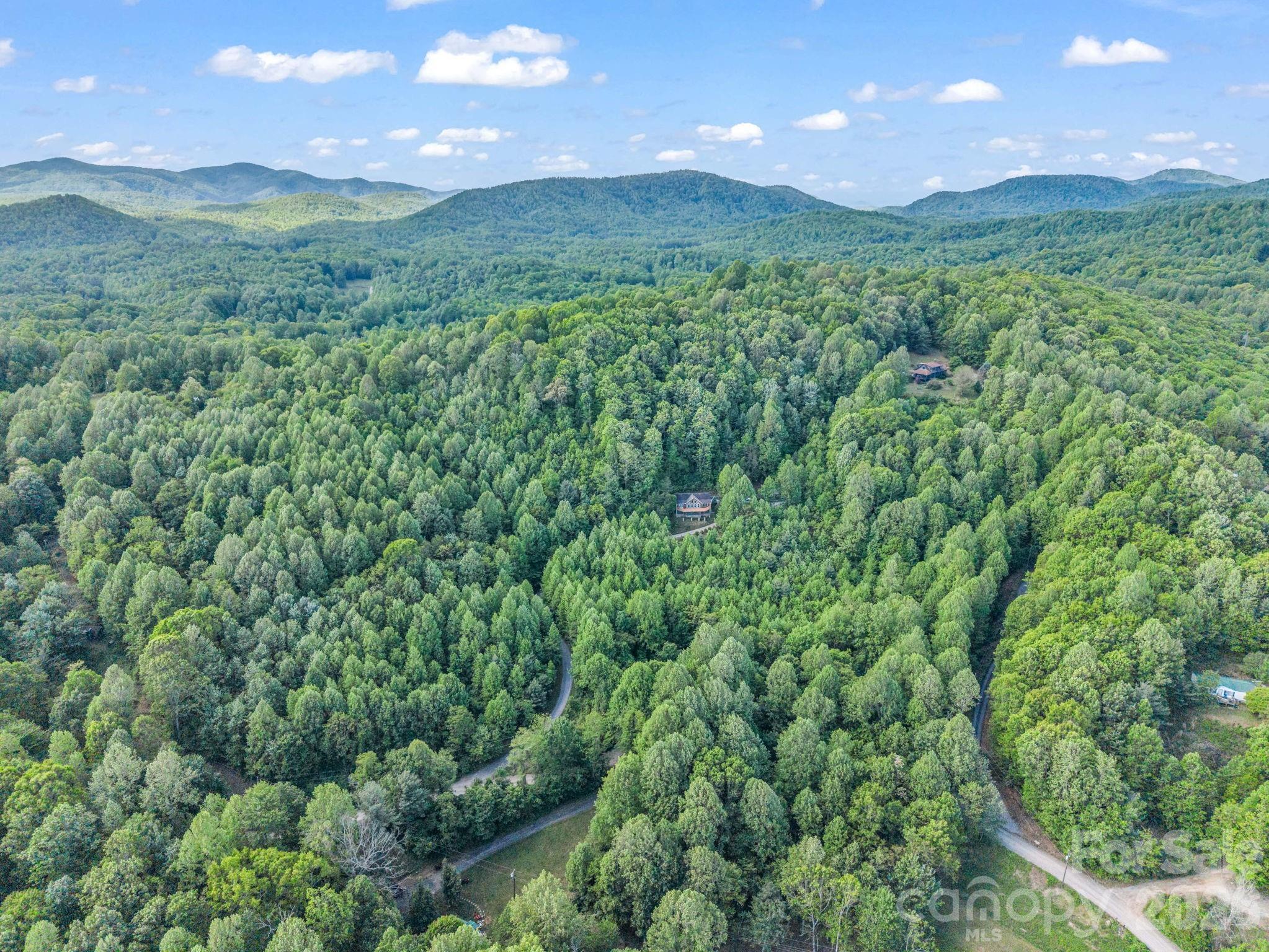 603 Pace Mountain Road — Saluda