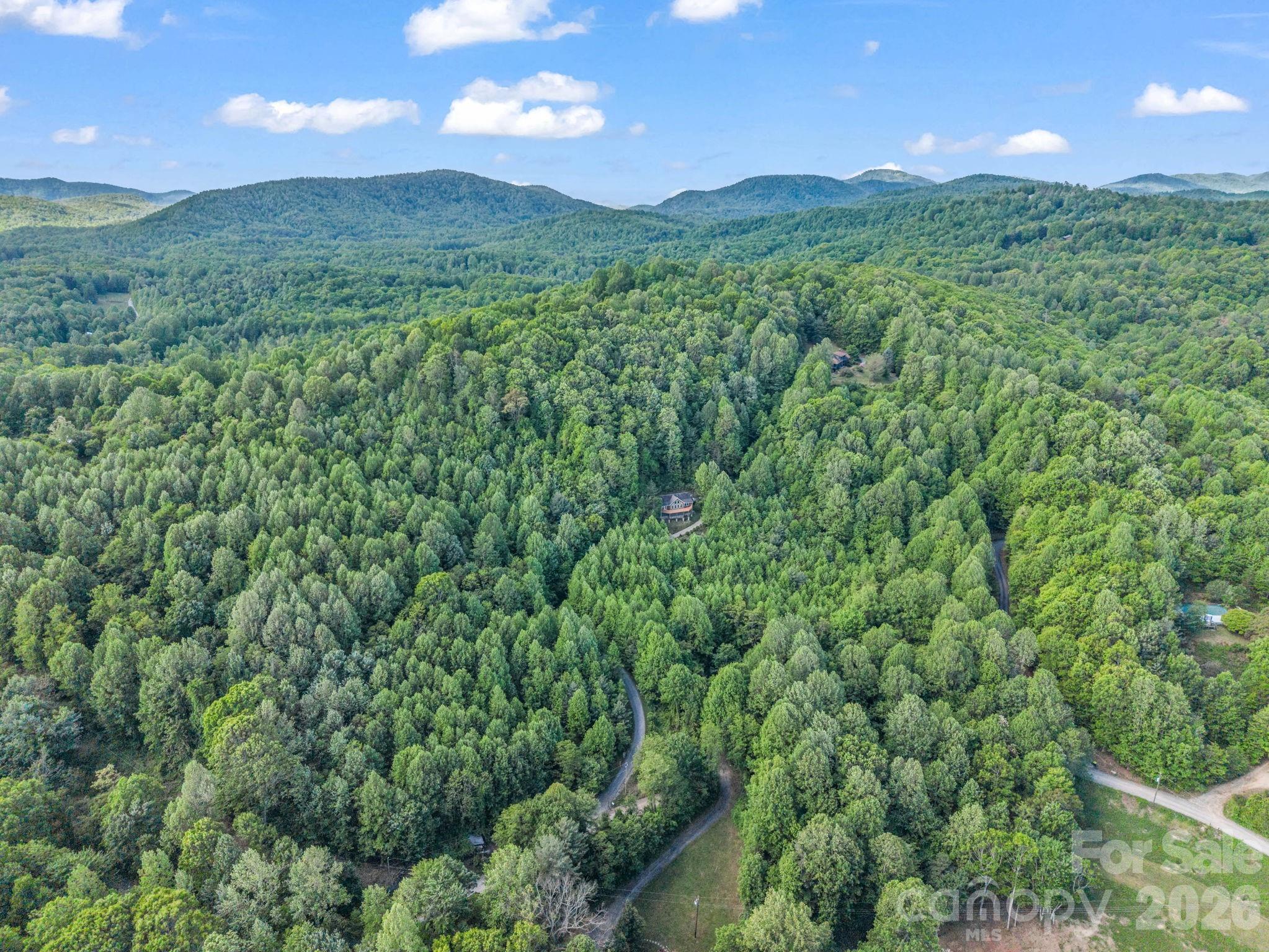 603 Pace Mountain Road — Saluda