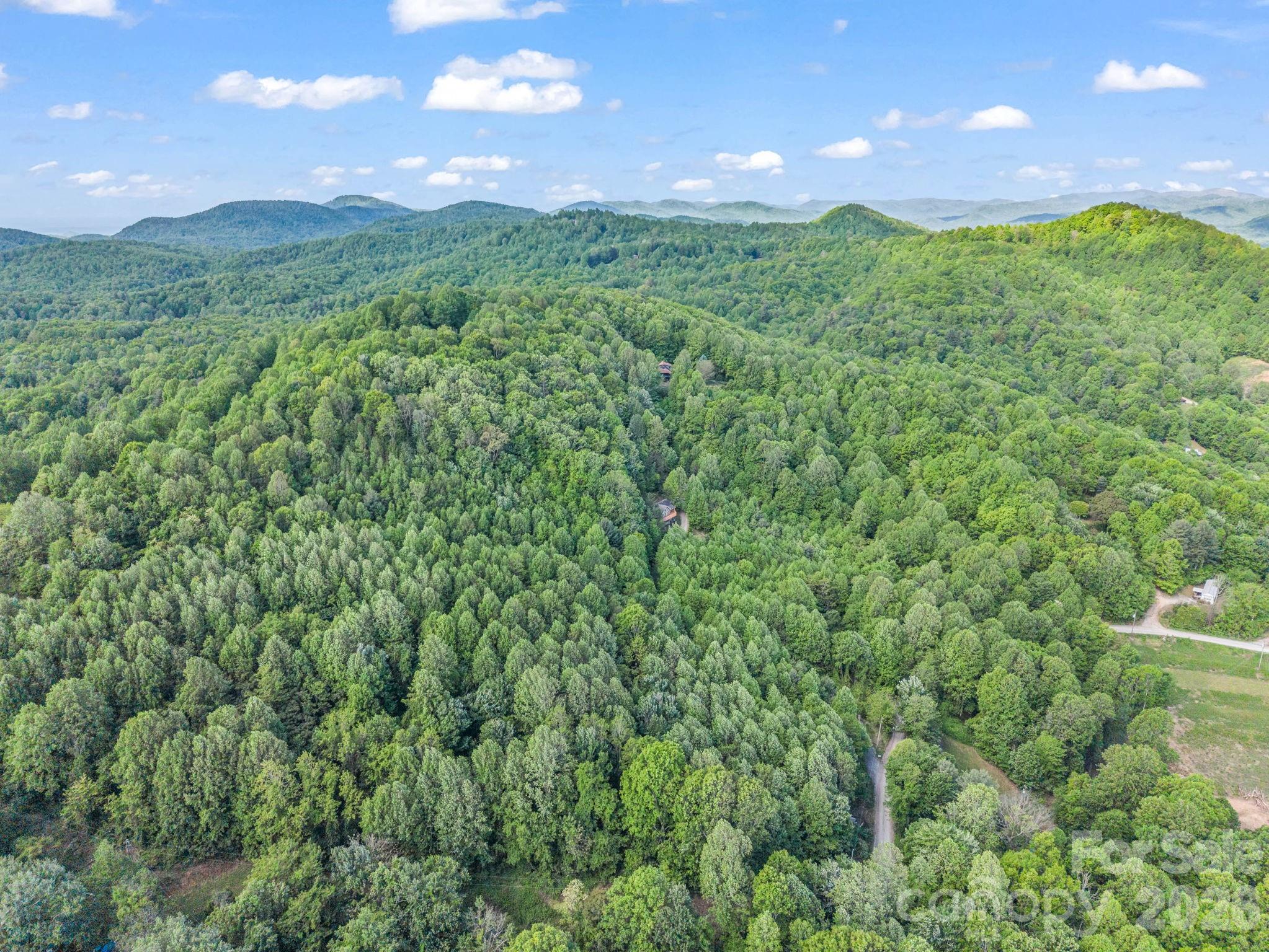 603 Pace Mountain Road — Saluda