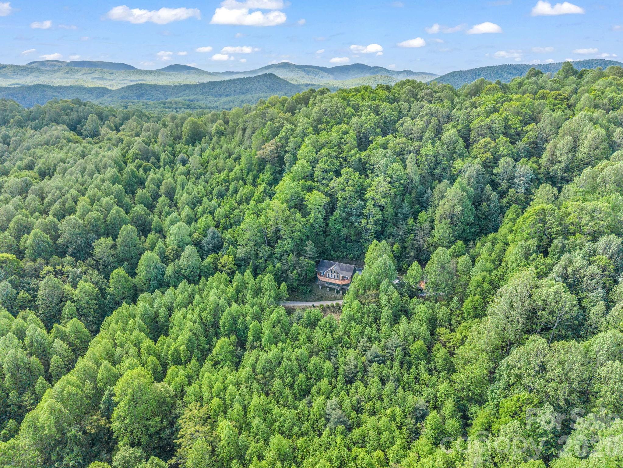 603 Pace Mountain Road — Saluda