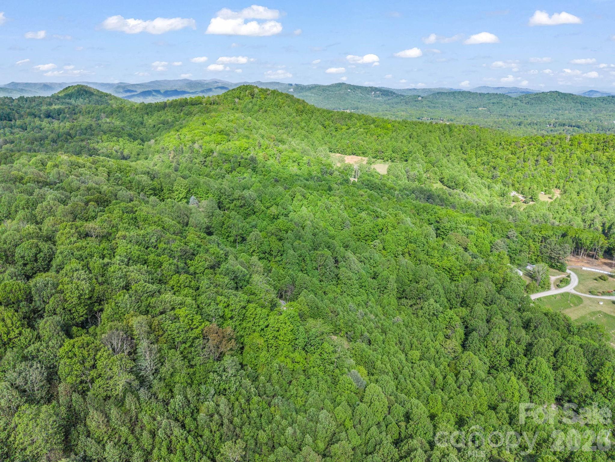603 Pace Mountain Road — Saluda