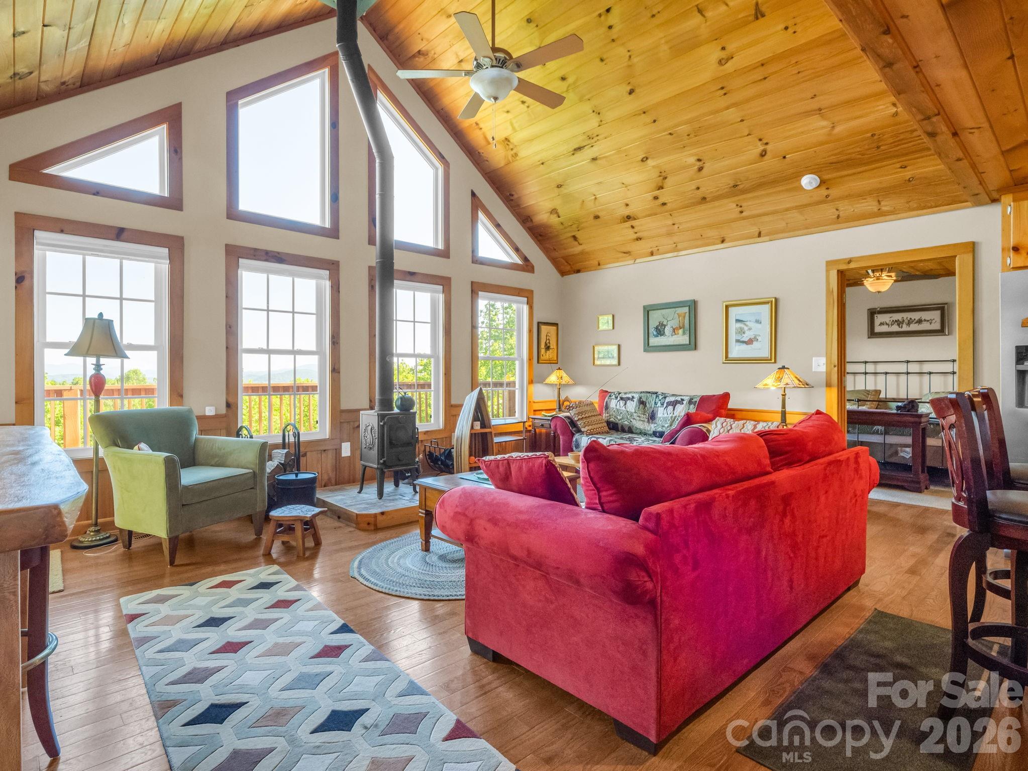 603 Pace Mountain Road — Saluda